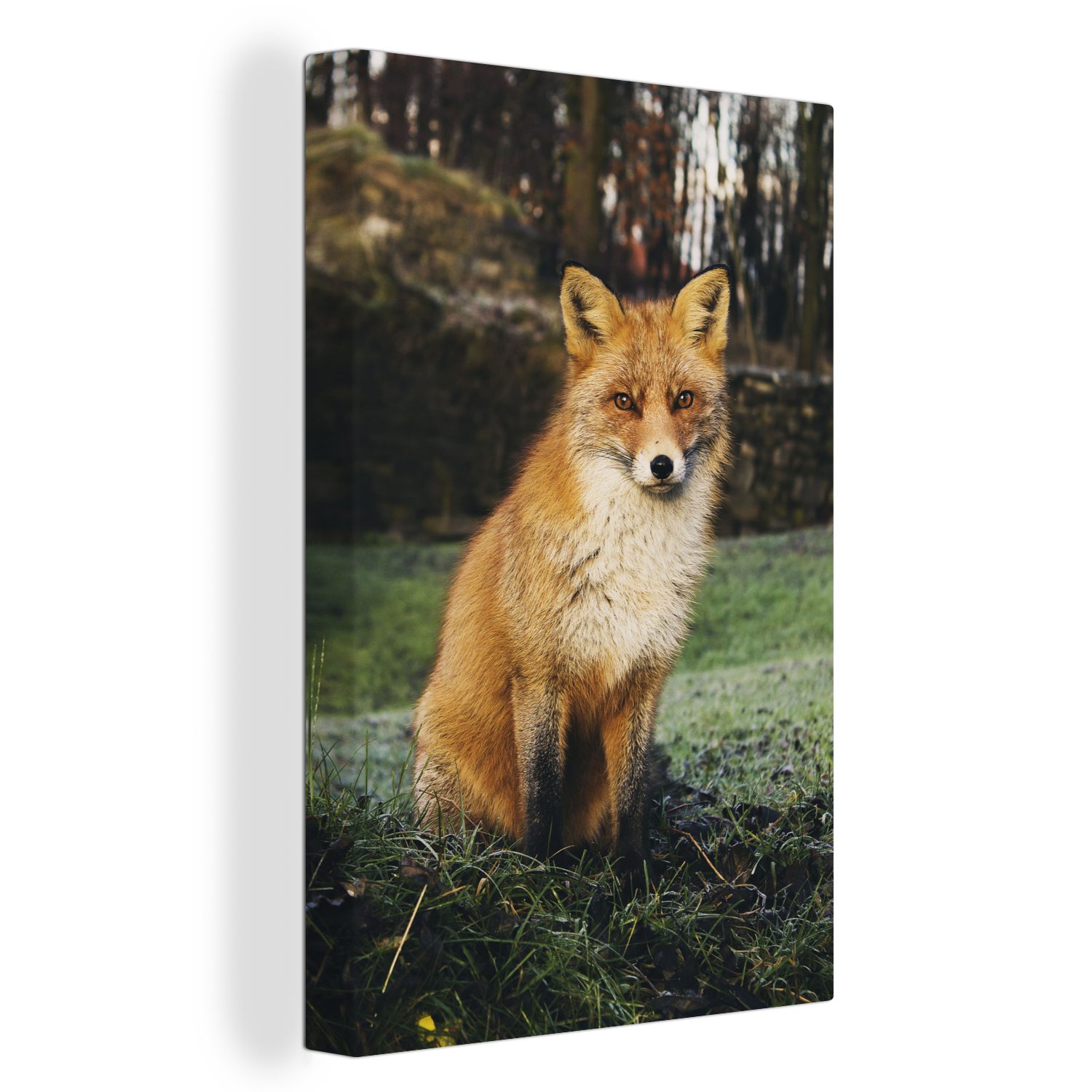 OneMillionCanvasses® Leinwandbild Fuchs - Wald - Herbst, (1 St), Leinwandbild fertig bespannt inkl. Zackenaufhänger, Gemälde, 20x30 cm