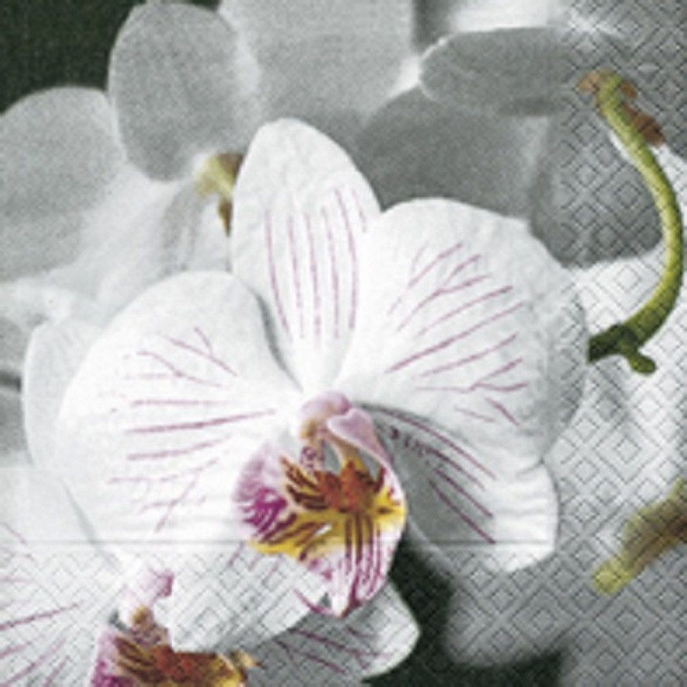 Paper+Design Papierserviette 20 LUNCH SERVIETTEN 33x33cm weiß- fuchsia Orchideenblüte. ORCHID