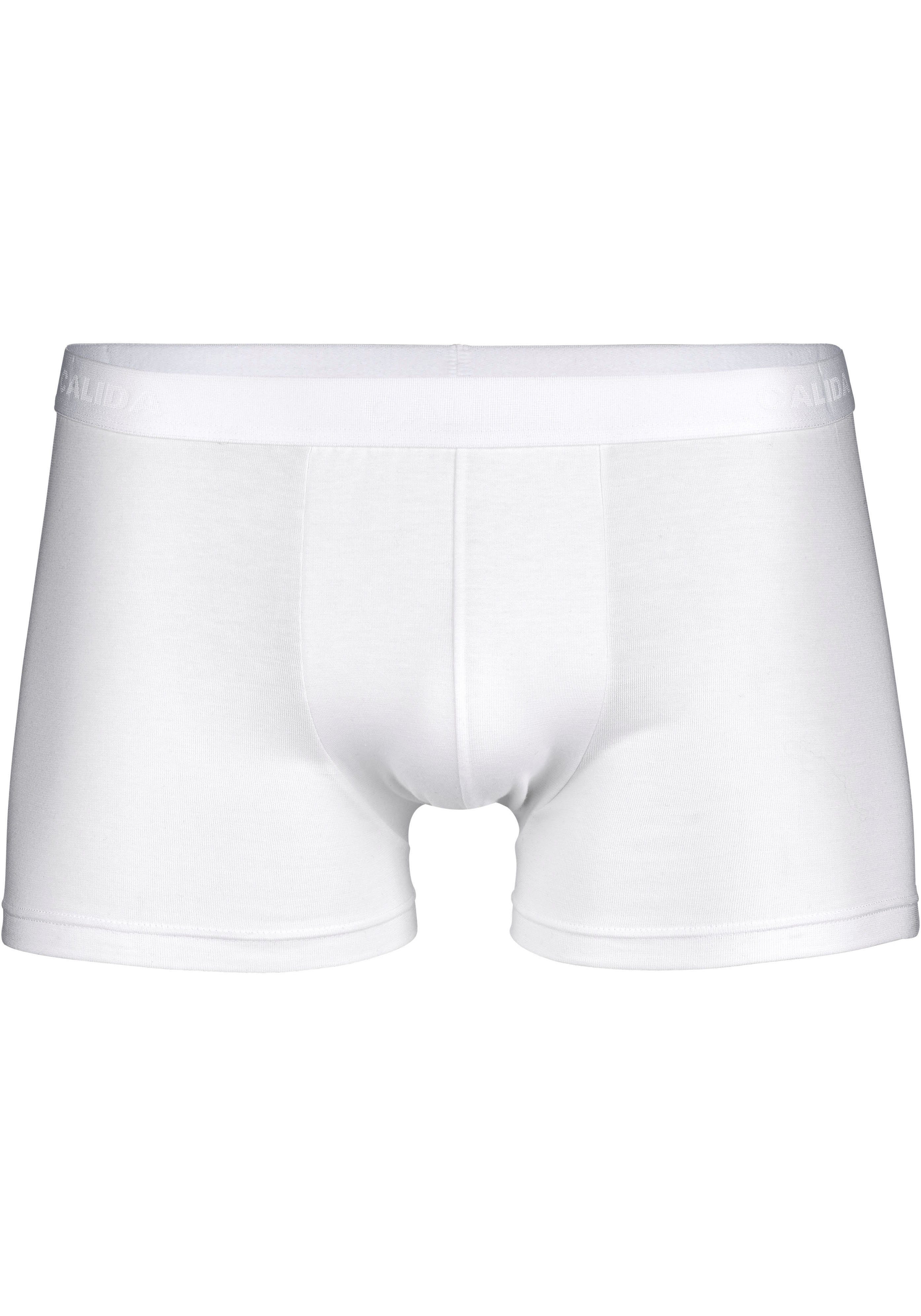 CALIDA Boxershorts Evolution mit Logoschriftzug und günstig online kaufen