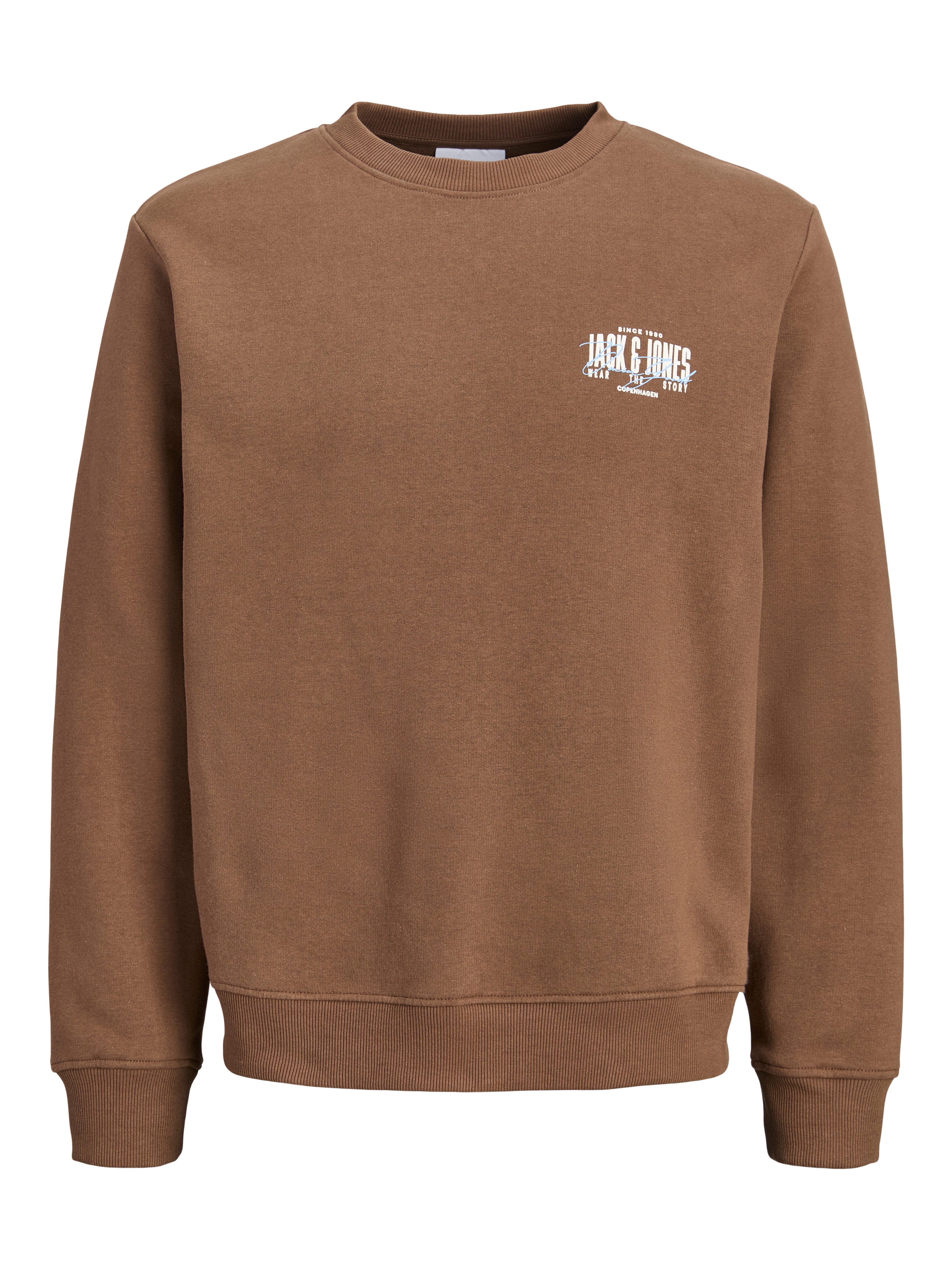 Sweatshirt JJAERO SWEAT CREW NECK