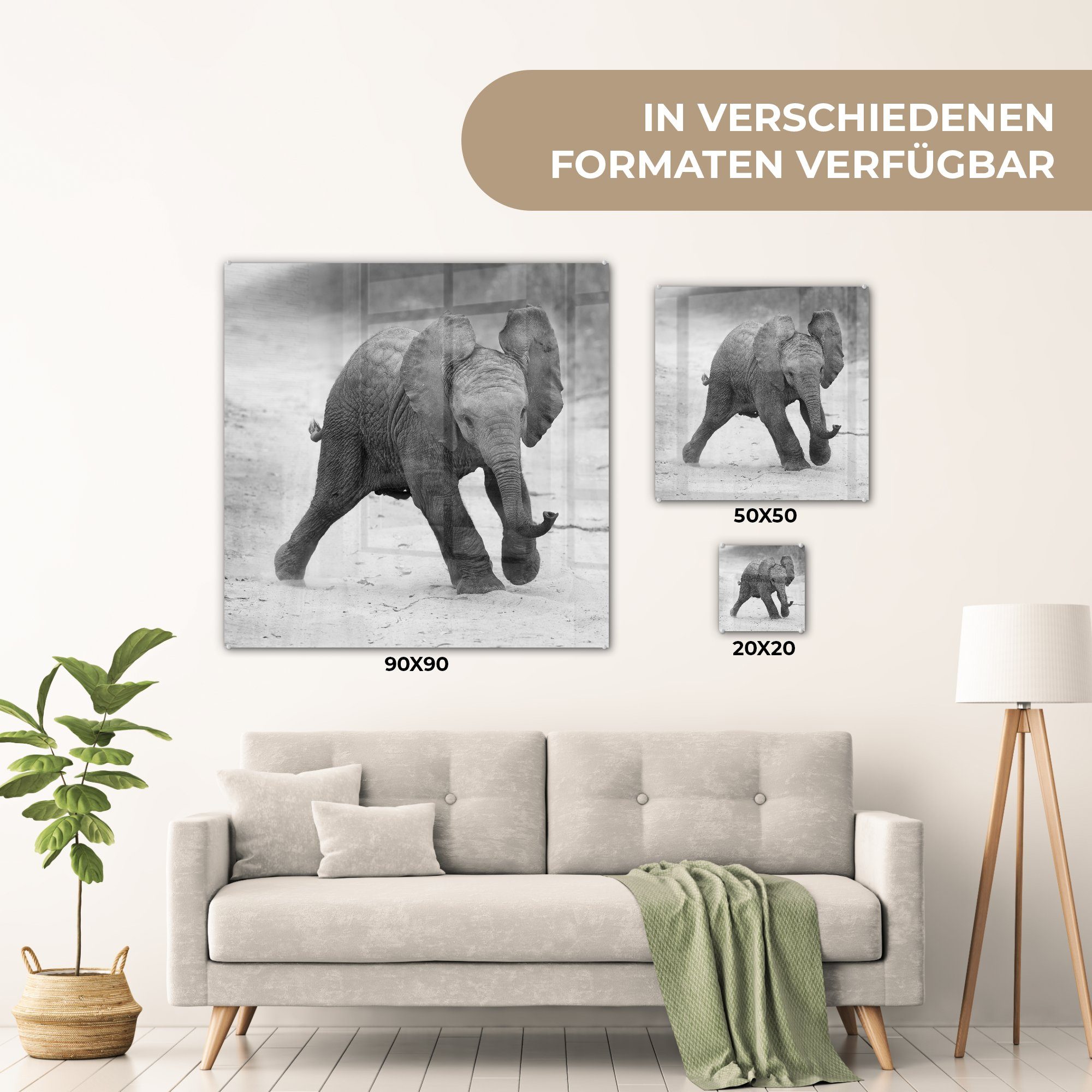 MuchoWow Acrylglasbild Elefant - Glas Kröte - Foto und Schwarz Glas - Glasbilder - Tiere (1 - Wandbild St), - weiß, auf Bilder Baby Wanddekoration - auf