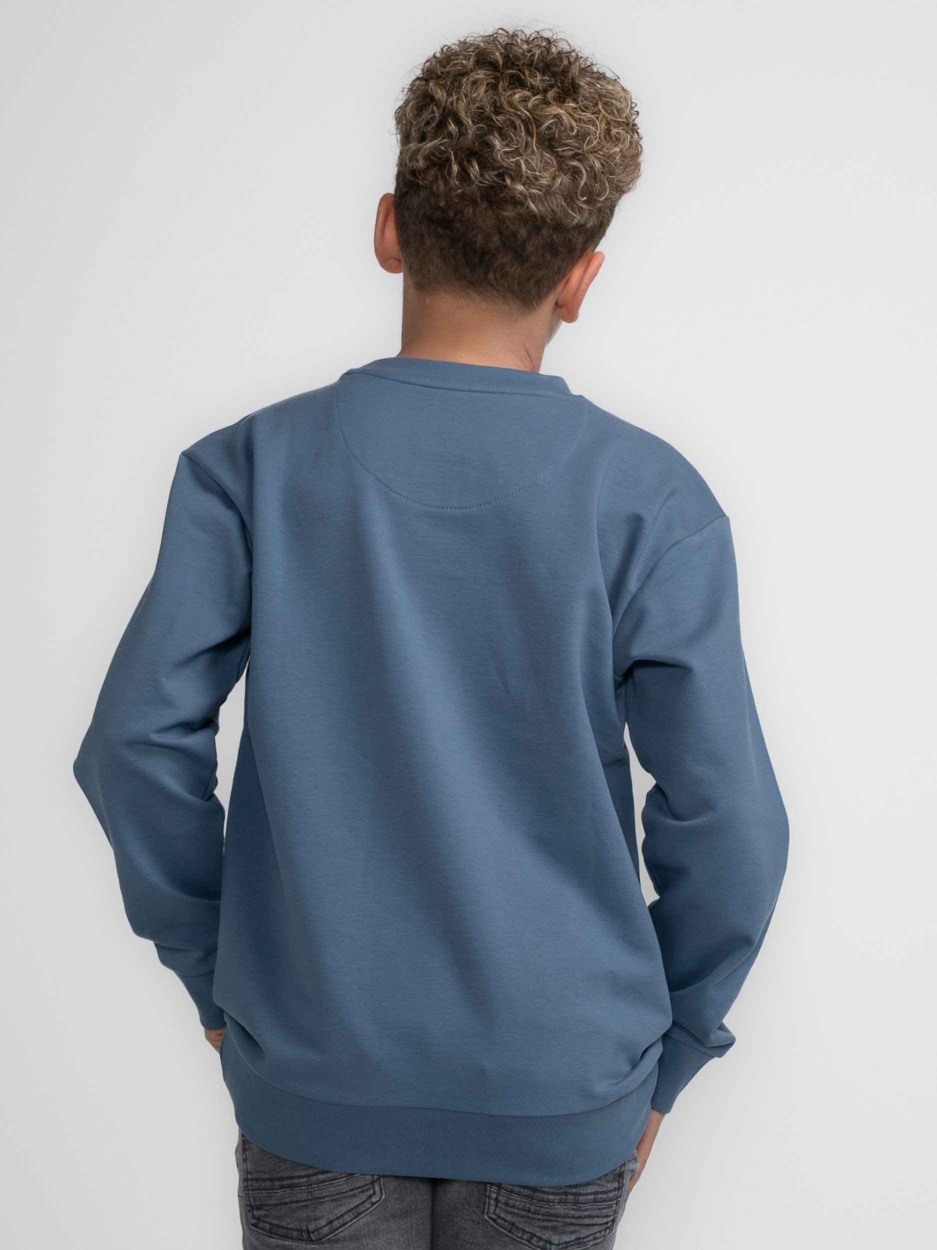 Petrol Industries Sweater mit Prägung auf günstig online kaufen