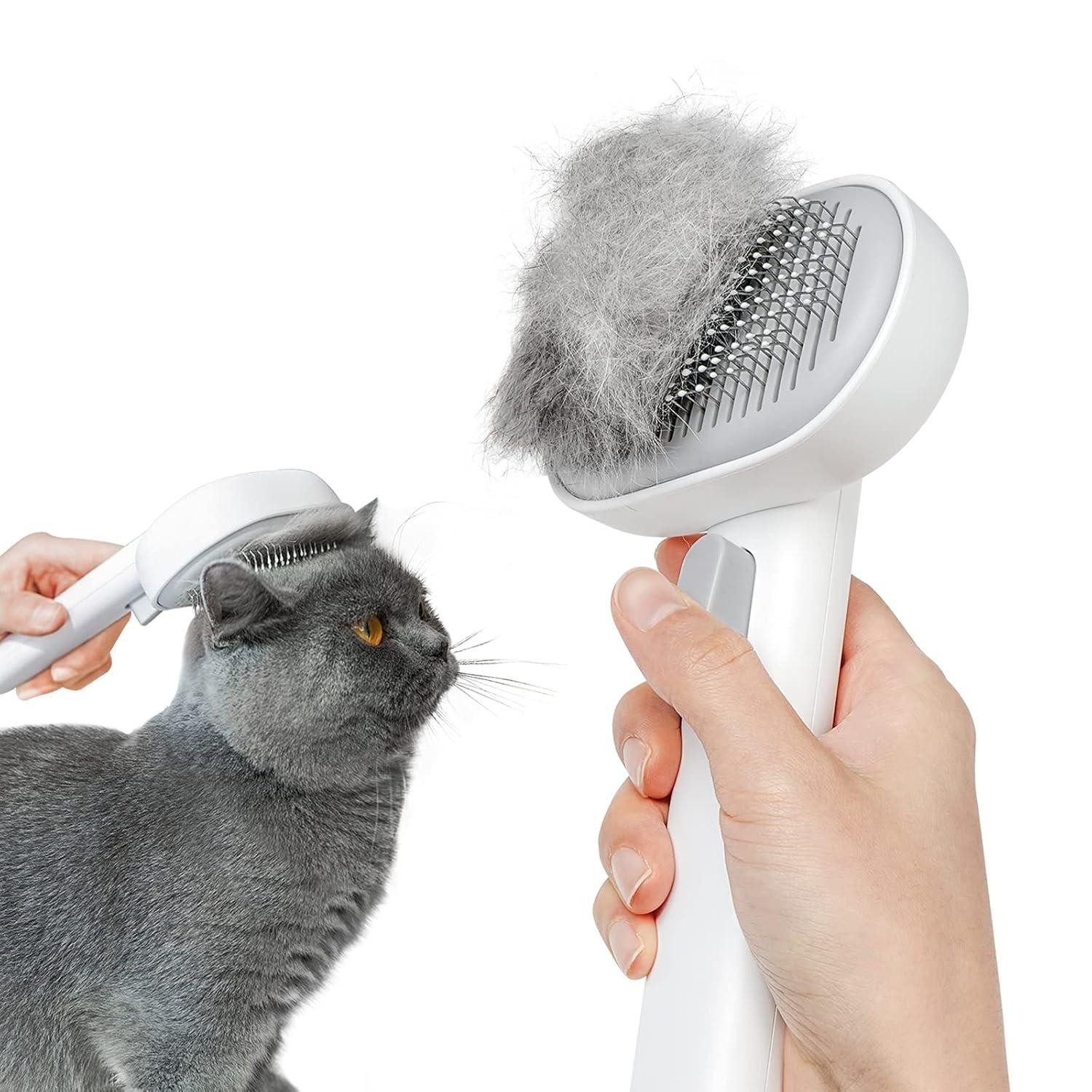 Katzen-Halsband Katzenbürste mit Auslöseknopf für Kurzhaar und Langhaar Fellpflege