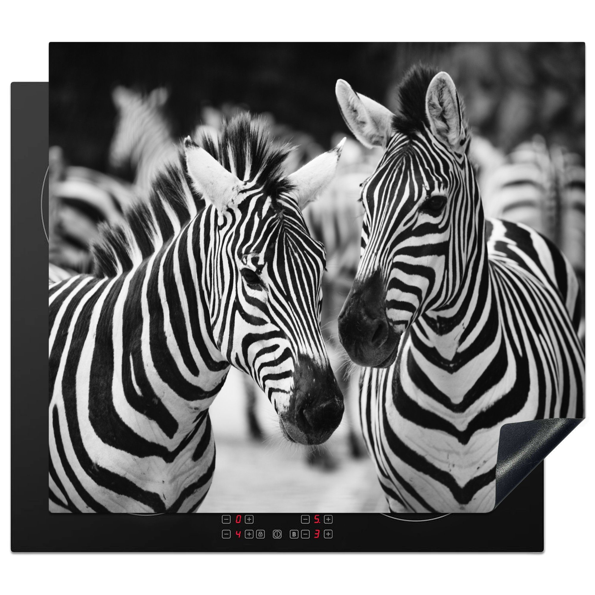 MuchoWow Herdblende-/Abdeckplatte Zebra schwarz und weiß, Vinyl, (1 tlg), 59x52 cm, Ceranfeldabdeckung für die küche, Induktionsmatte