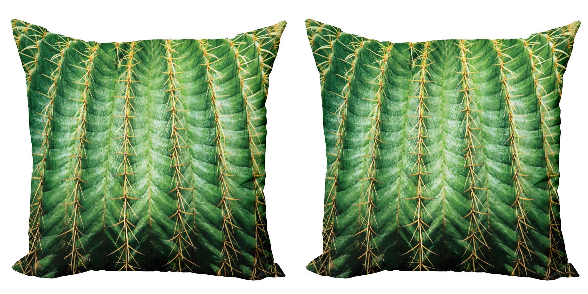 Kissenbezüge Modern Accent Doppelseitiger Digitaldruck, Abakuhaus (2 Stück), Kaktus Desert Flower Zoom Foto