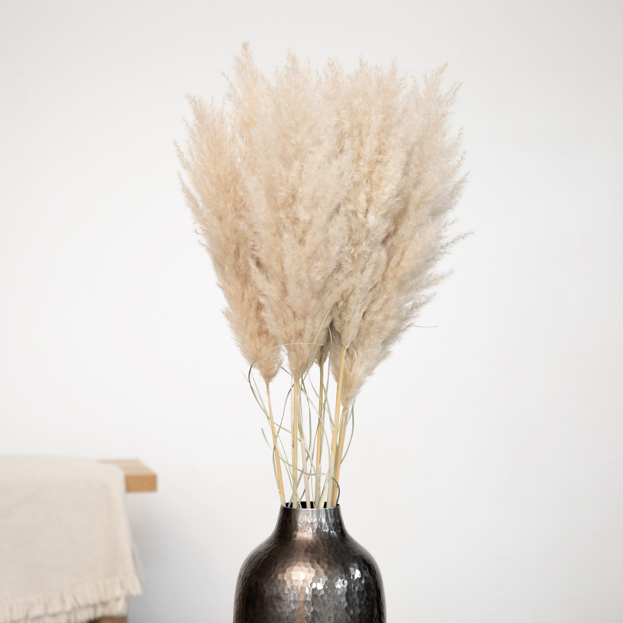 Trockenblume XXL Pampasgras extra fluffig, Bund (5 Stiele), getrocknet, ca. günstig online kaufen