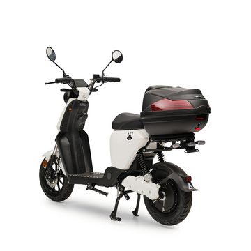 Burnout E-Motorroller ANT weiß Doppelakku, 800 W, 45 km/h, USB Ladedose für Handy Navi etc., E-Roller inkl. Topcase