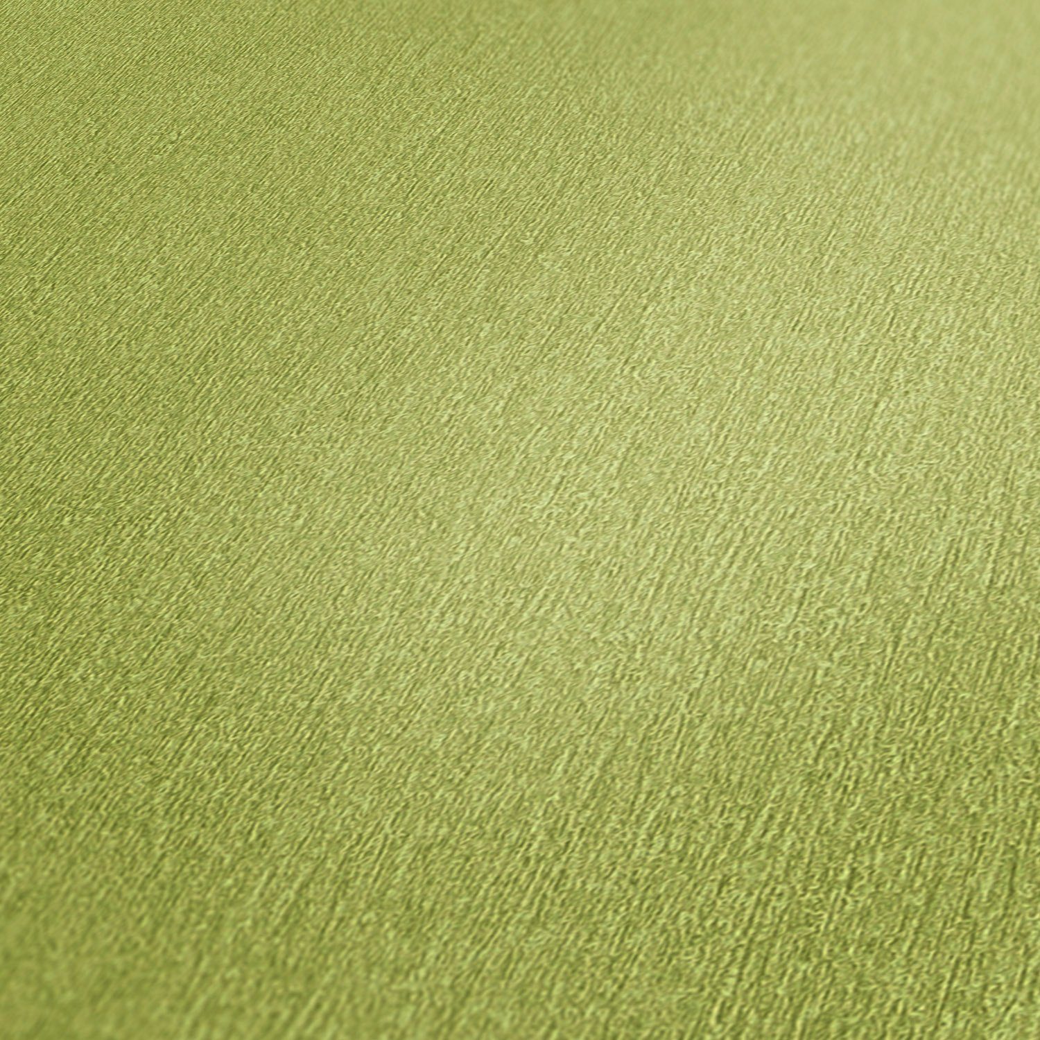 A.S. Création Vliestapete Dream Tapete Flowery, einfarbig, Uni grün Einfarbige glatt