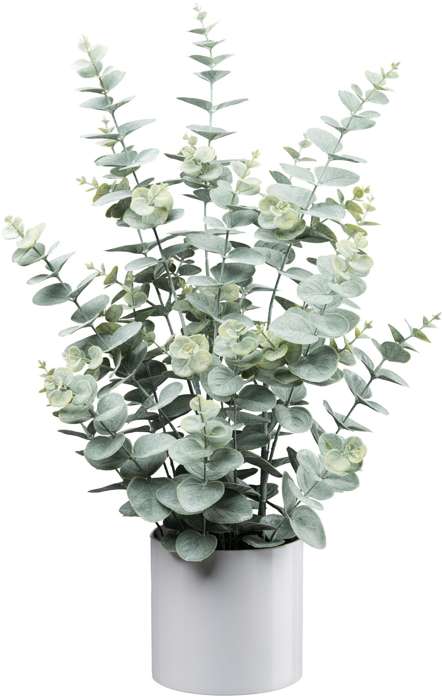 Kunstpflanze Eukalyptus, Creativ green, Höhe 66 cm, mit üppigem Blattwerk günstig online kaufen