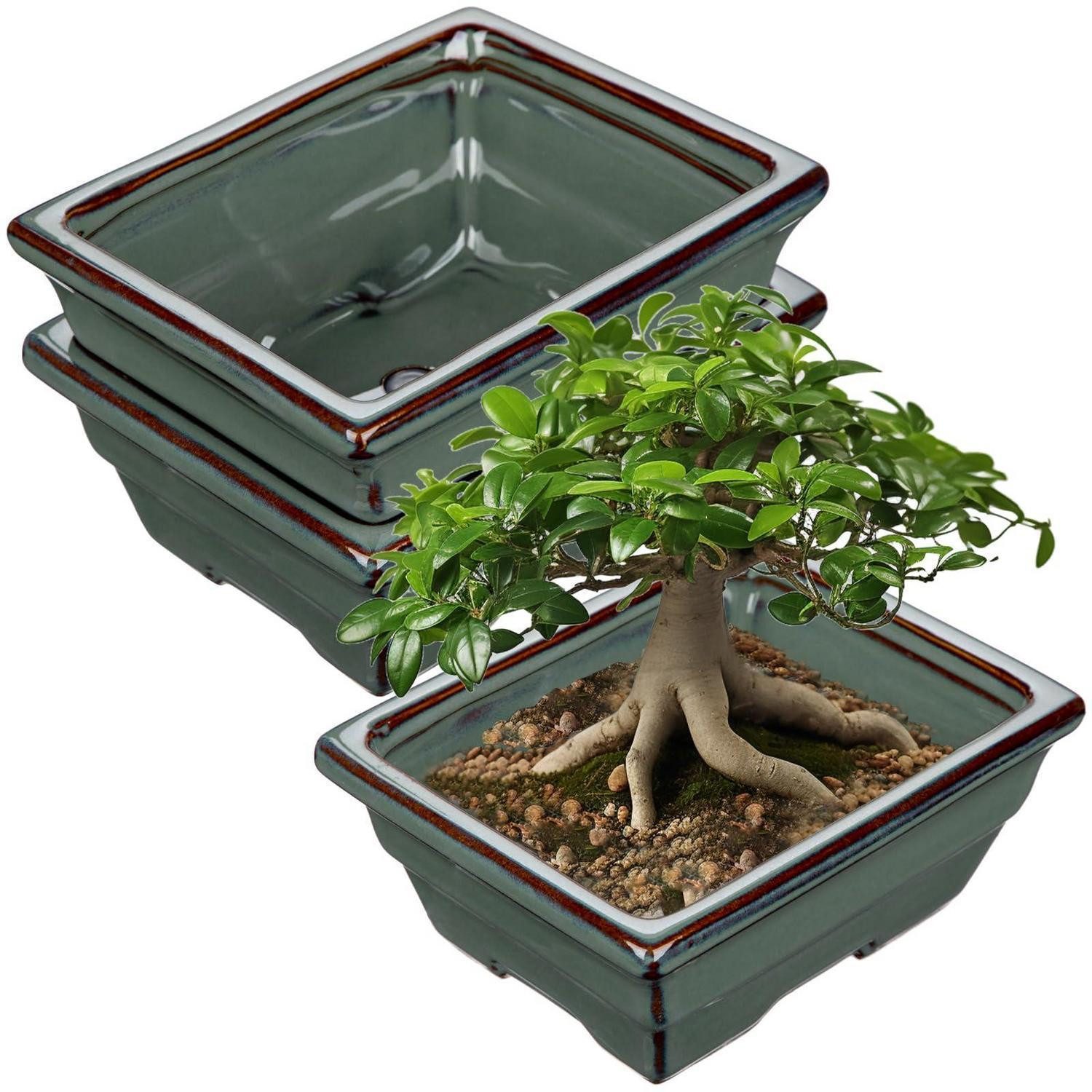 LuxusKollektion Pflanzschale Bonsai Keramiktopf Entwässerung Japanische Hellgrün 16 x 12.5 x 7 cm