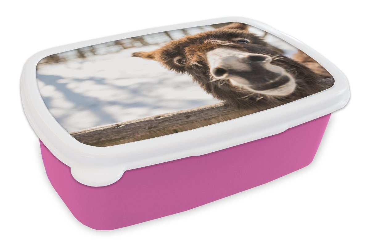 MuchoWow Lunchbox Neugieriger Esel, Kunststoff, (2-tlg), Brotbox für Erwachsene, Brotdose Kinder, Snackbox, Mädchen, Kunststoff rosa