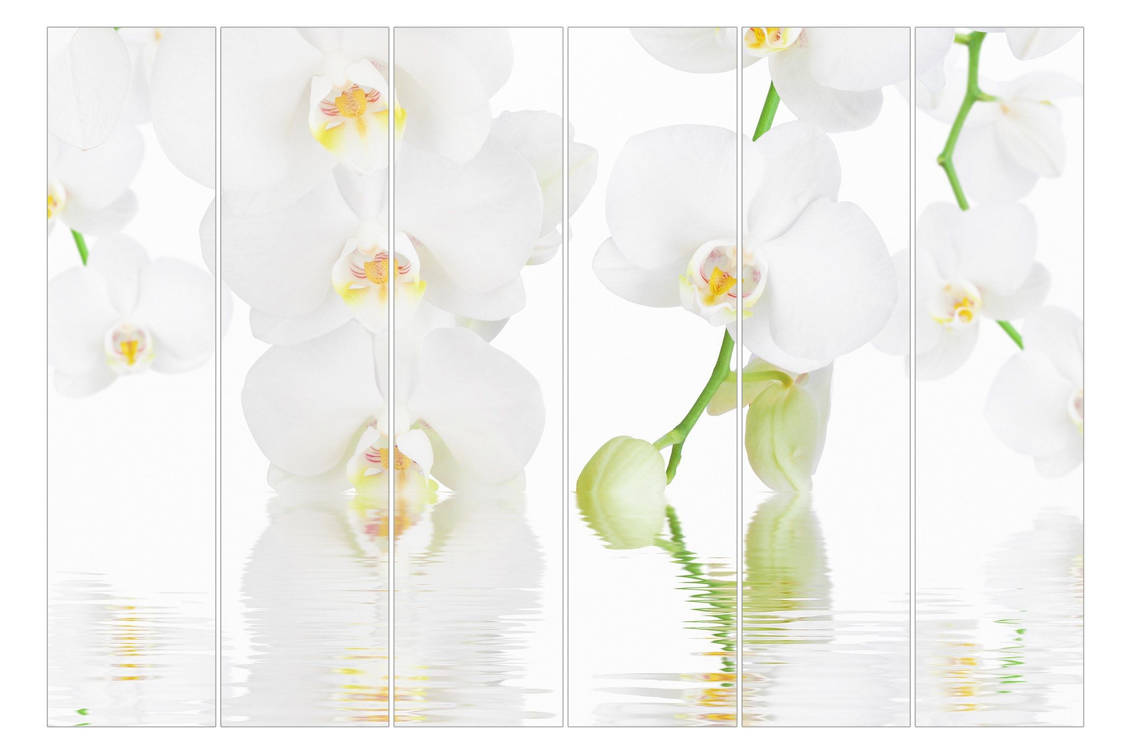 Bilderdepot24 Schiebegardine modern Flächenvorhang blickdicht Wellness_Orchidee (6 St), halbtransparent, Wohnzimmer große Flächengardine lichtdurchlässig für Klemm-System