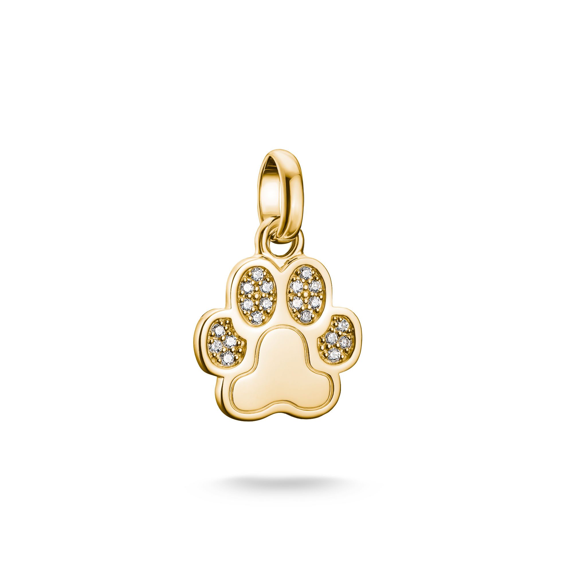 Charm-Einhänger Charm Pfoten-Design - Connect