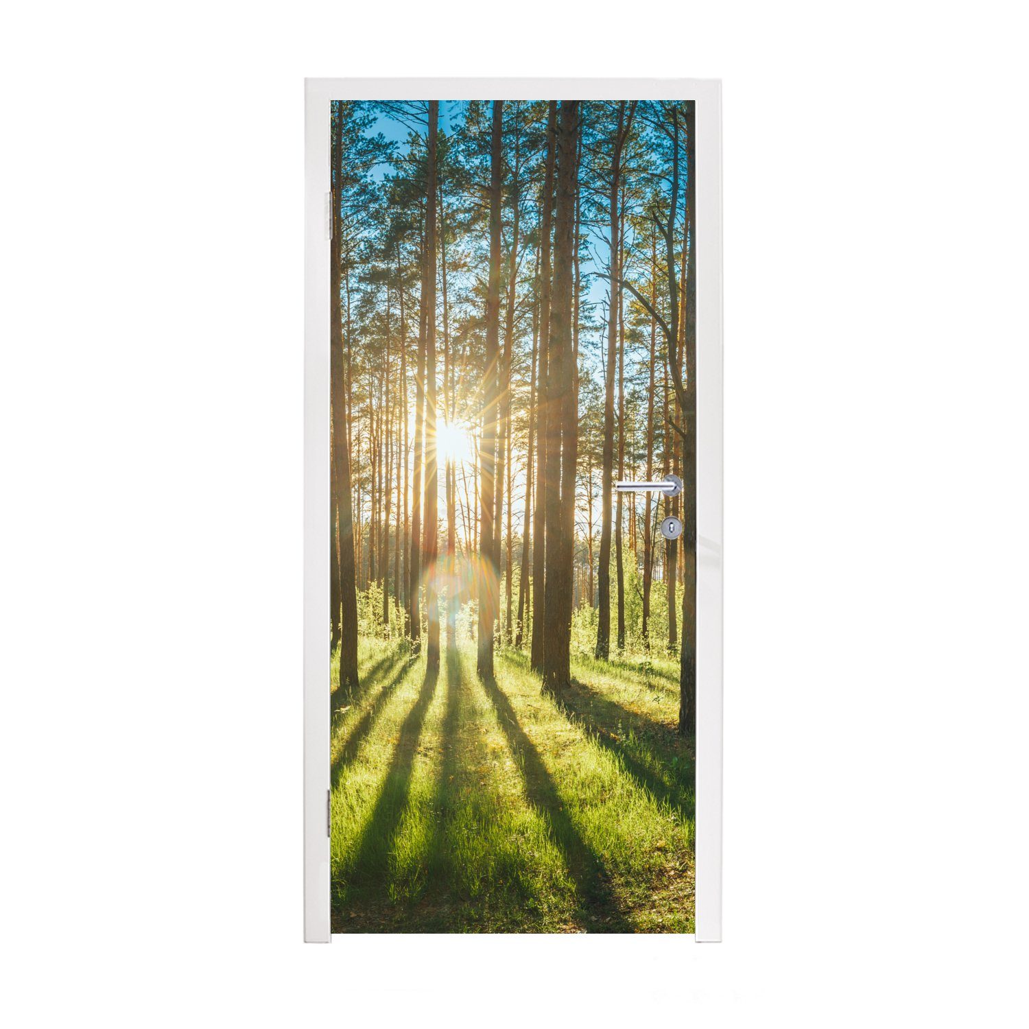 für Sonne - Landschaft Fototapete Tür, cm Türaufkleber, bedruckt, MuchoWow 75x205 Matt, St), Gras, Bäume (1 - Türtapete -