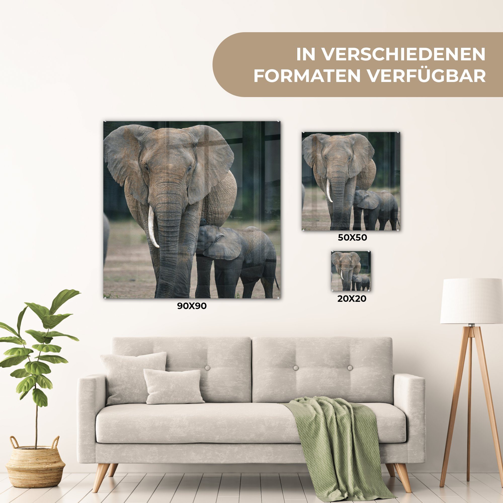 Foto - - MuchoWow auf - Flachland Tiere Elefant Glas St), Wandbild auf Glasbilder (1 Acrylglasbild Bilder - Wanddekoration Natur, Glas - -