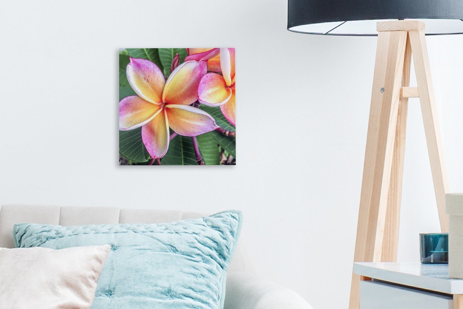 OneMillionCanvasses® Leinwandbild Singapur, St), Schlafzimmer für Wohnzimmer Leinwand Bunte Plumeria-Blüten (1 Bilder in
