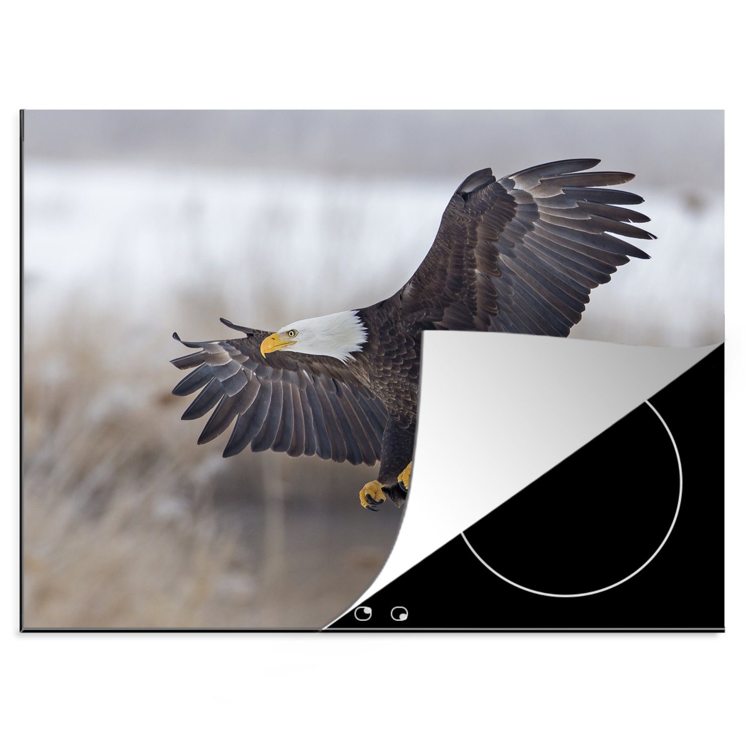 (1 Mobile Arbeitsfläche - Seeadler MuchoWow 60x52 - Vogel Ceranfeldabdeckung Flügel, nutzbar, tlg), Herdblende-/Abdeckplatte Vinyl, cm,