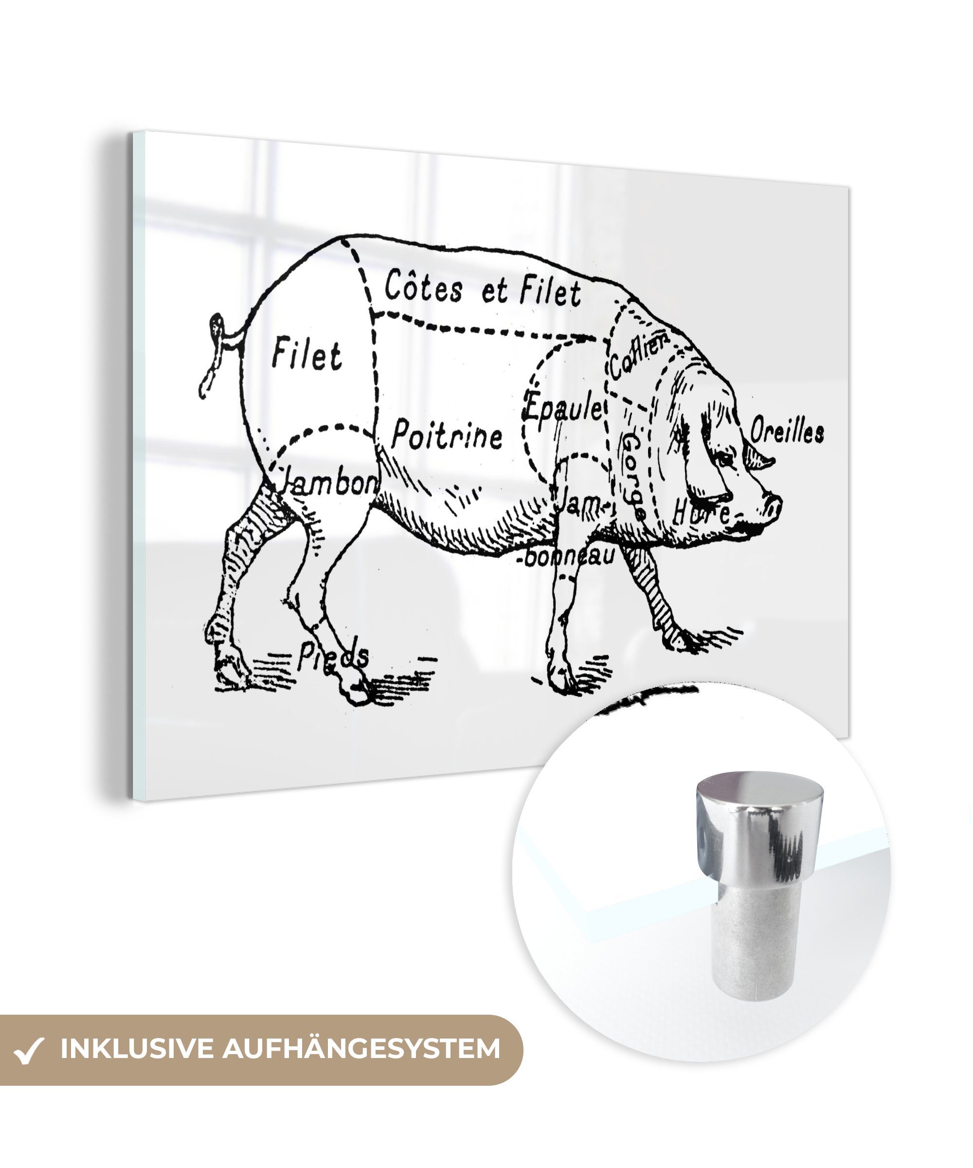 MuchoWow Acrylglasbild Antike Illustration des Diagramms des Metzgers vom Schwein, (1 St), Acrylglasbilder Wohnzimmer & Schlafzimmer