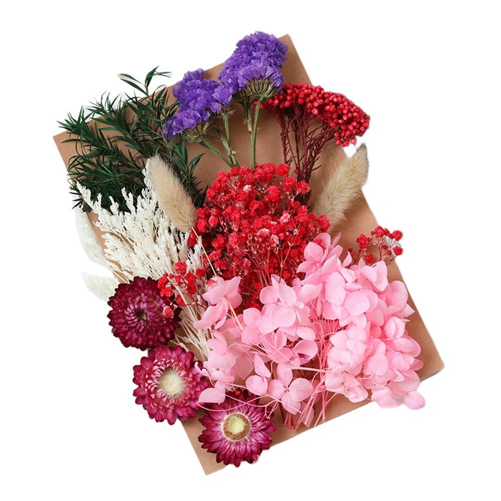 Trockenblume Getrocknete Blumen, Trockenblumen Zum Basteln klein Trockenblu günstig online kaufen