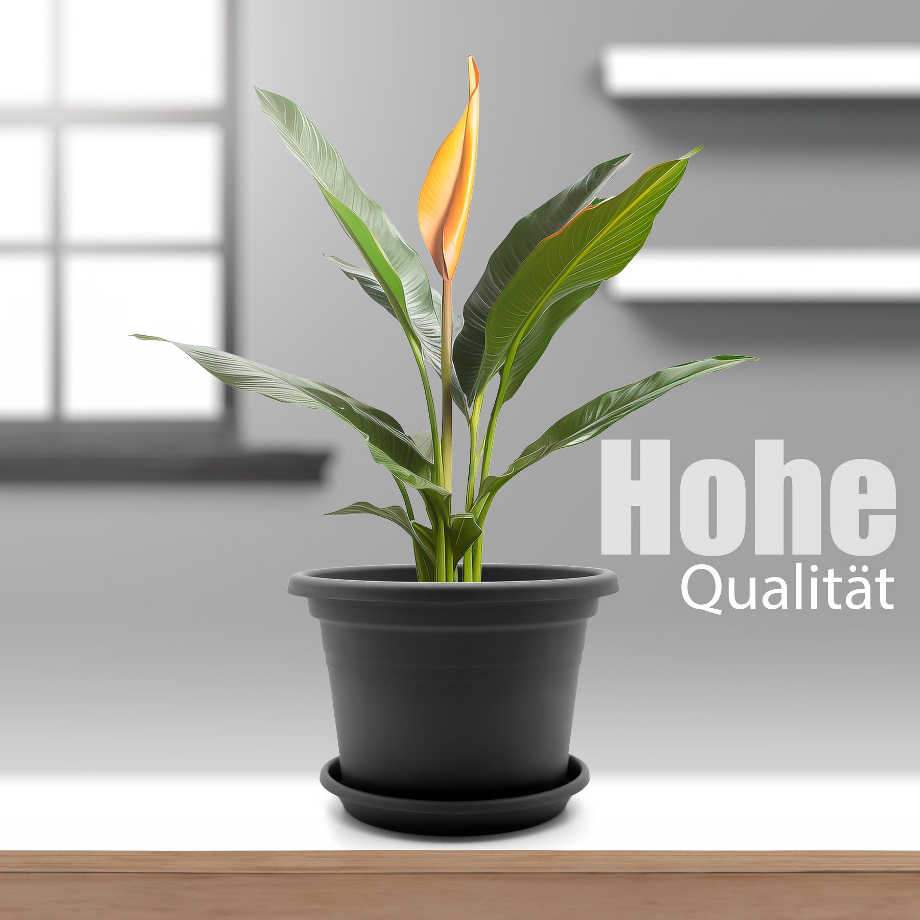 BigDean Blumentopf 4 Stück Pflanzkübel mit Untersetzer rund ø 25 cm Anthrazit (Set, 4 St., Pflanztopf), Zeitloses Design, Mit Untersetzer, Hochwertiges Material – Bild 2 von 5
