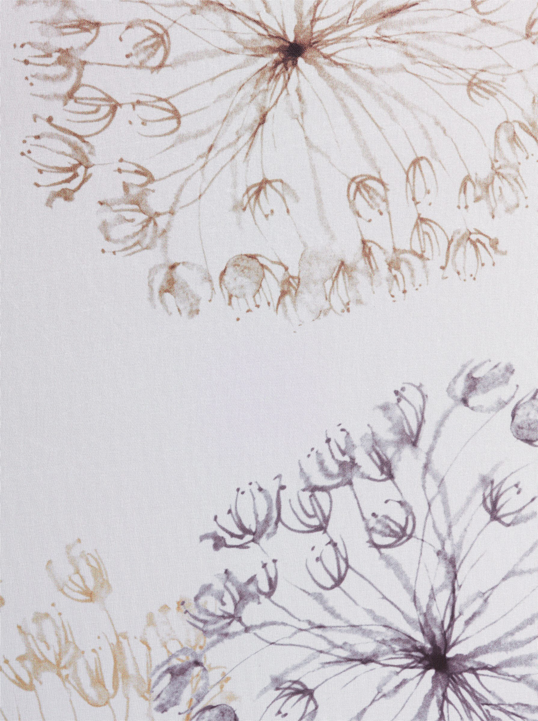 Rollo Raffrollo ., heine, transparent, Ösen mit Fensterhaken