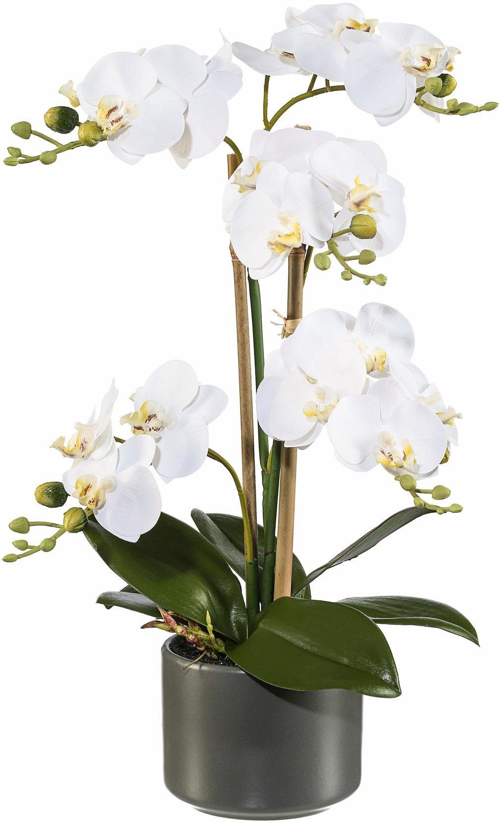 Kunstpflanze Höhe Creativ cm Orchidee, 38 green,