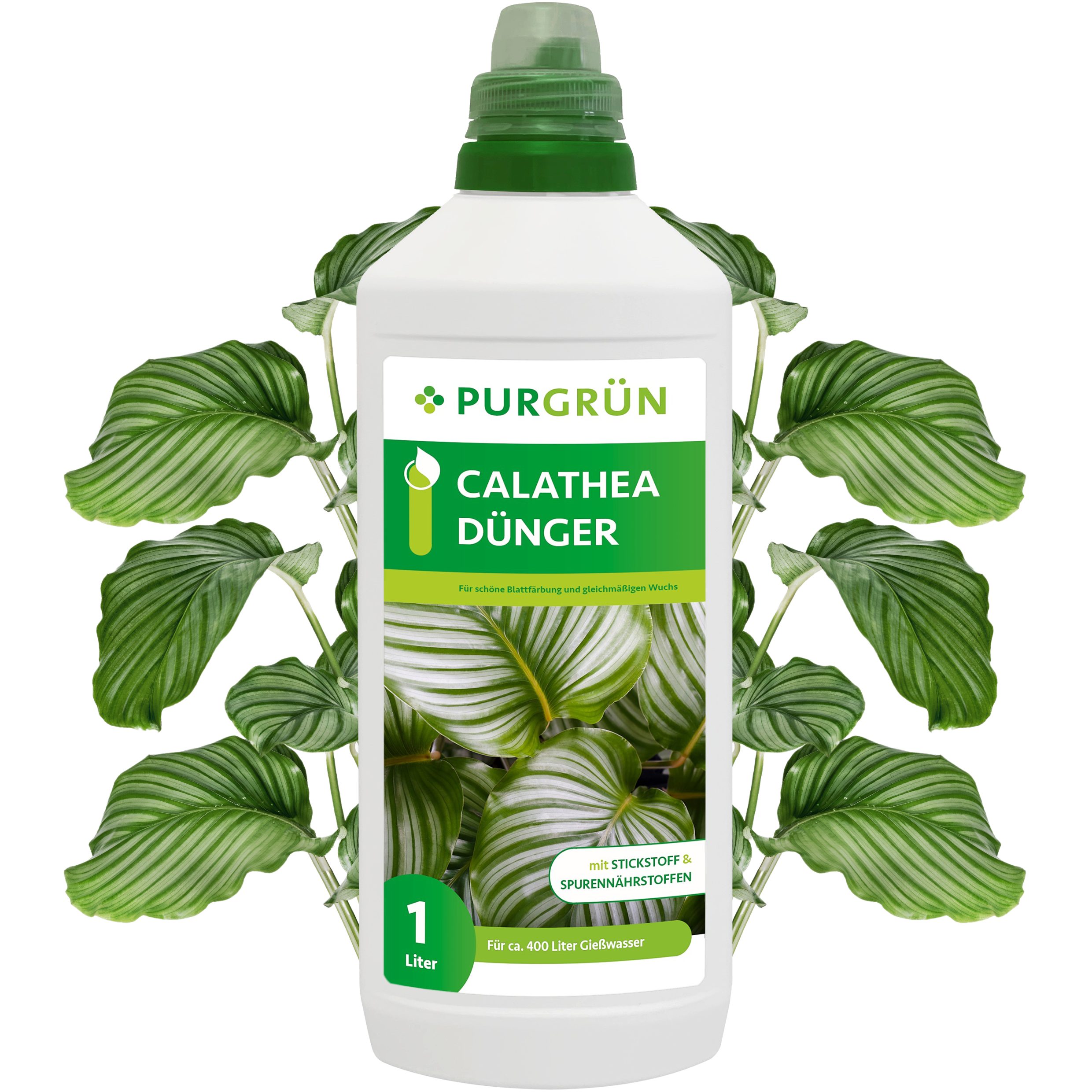 Universaldünger Purgrün Calathea Dünger, NPK 10+4+6, Widerstandskraft, 1L