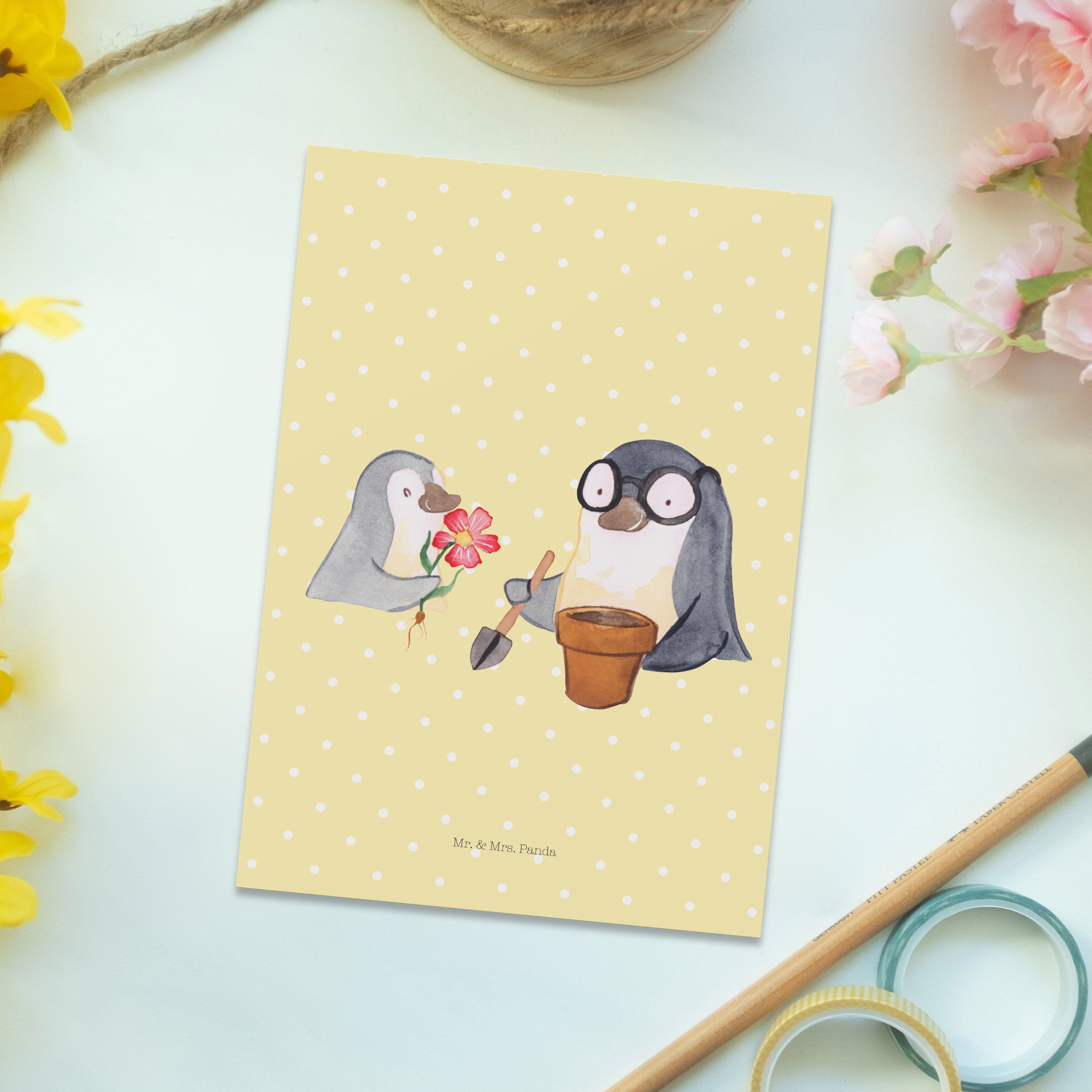 Geschenk, & Pastell - Panda Mrs. pflanzen - Opa Blumen Ansichtskarte Pinguin Gelb Postkarte Mr.