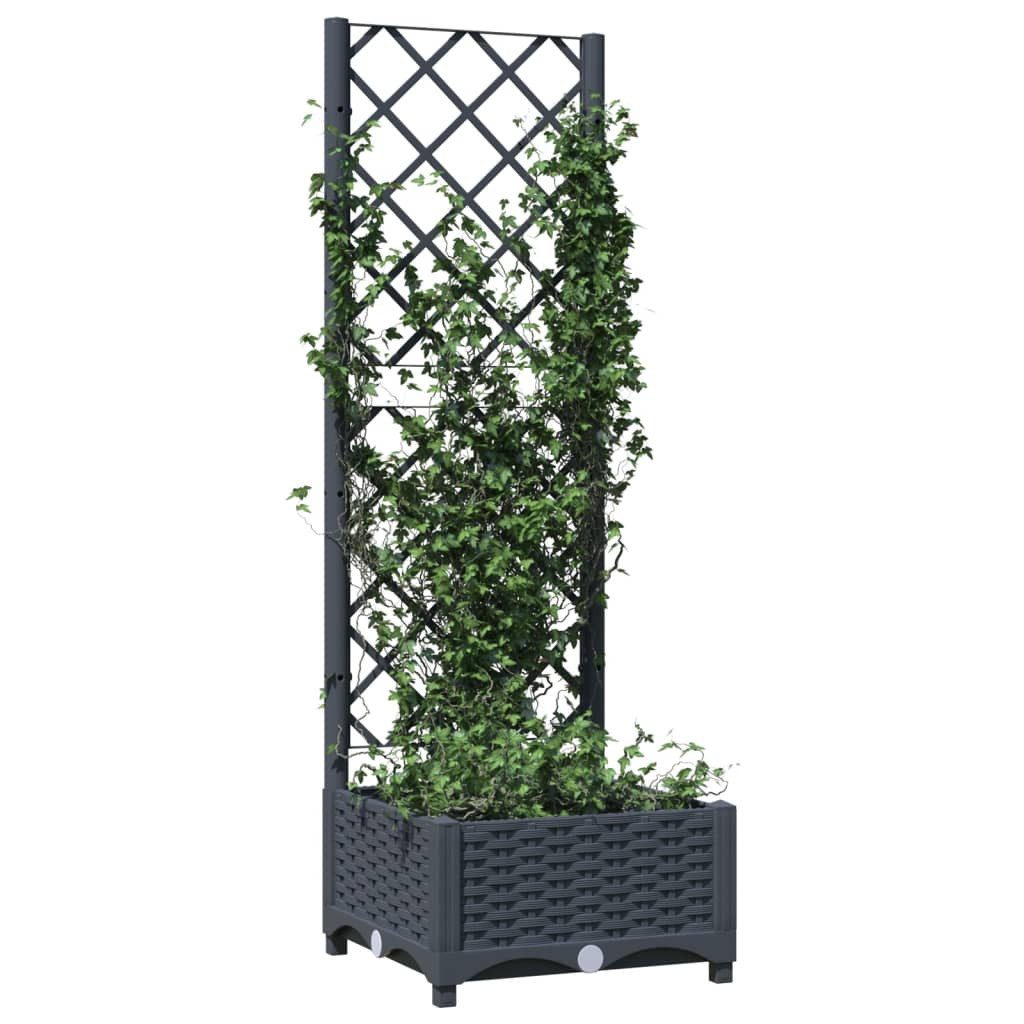 vidaXL Blumenkasten 40 x 40 x 1215 cm Pflanzkübel mit Rankgitter Dunkelgrau 40x40x121 cm f