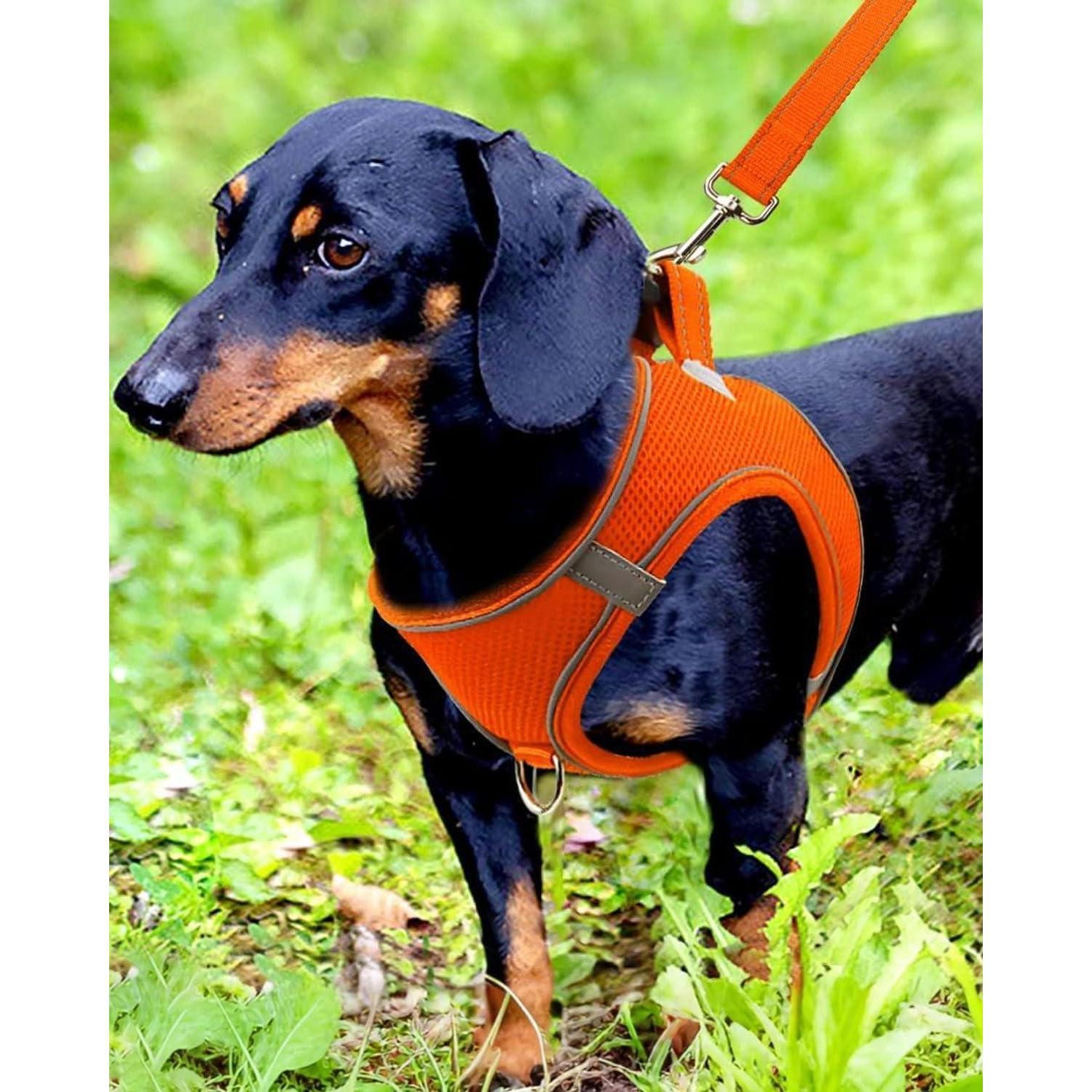 LuxusKollektion Hunde-Geschirr Hundegeschirr Brustgeschirr Reflektierend M-Brust:42-47cm Orange