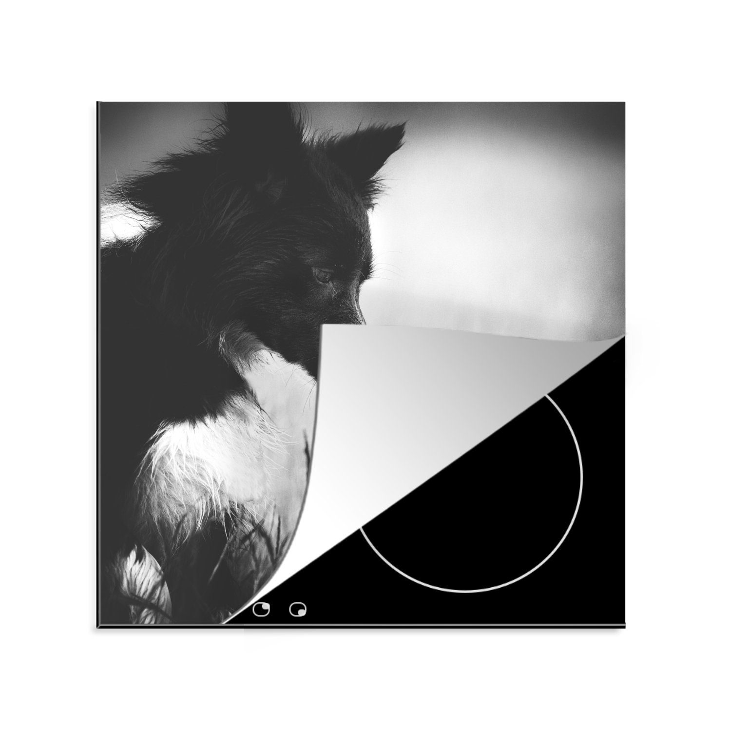 MuchoWow Herdblende-/Abdeckplatte Bekanntschaft zwischen Hund und Fuchs, Vinyl, (1 tlg), 78x78 cm, Ceranfeldabdeckung, Arbeitsplatte für küche