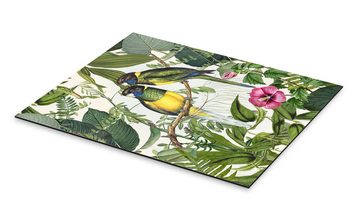 Posterlounge Alu-Dibond-Druck Andrea Haase, Tropische Vögel III, Vintage Illustration