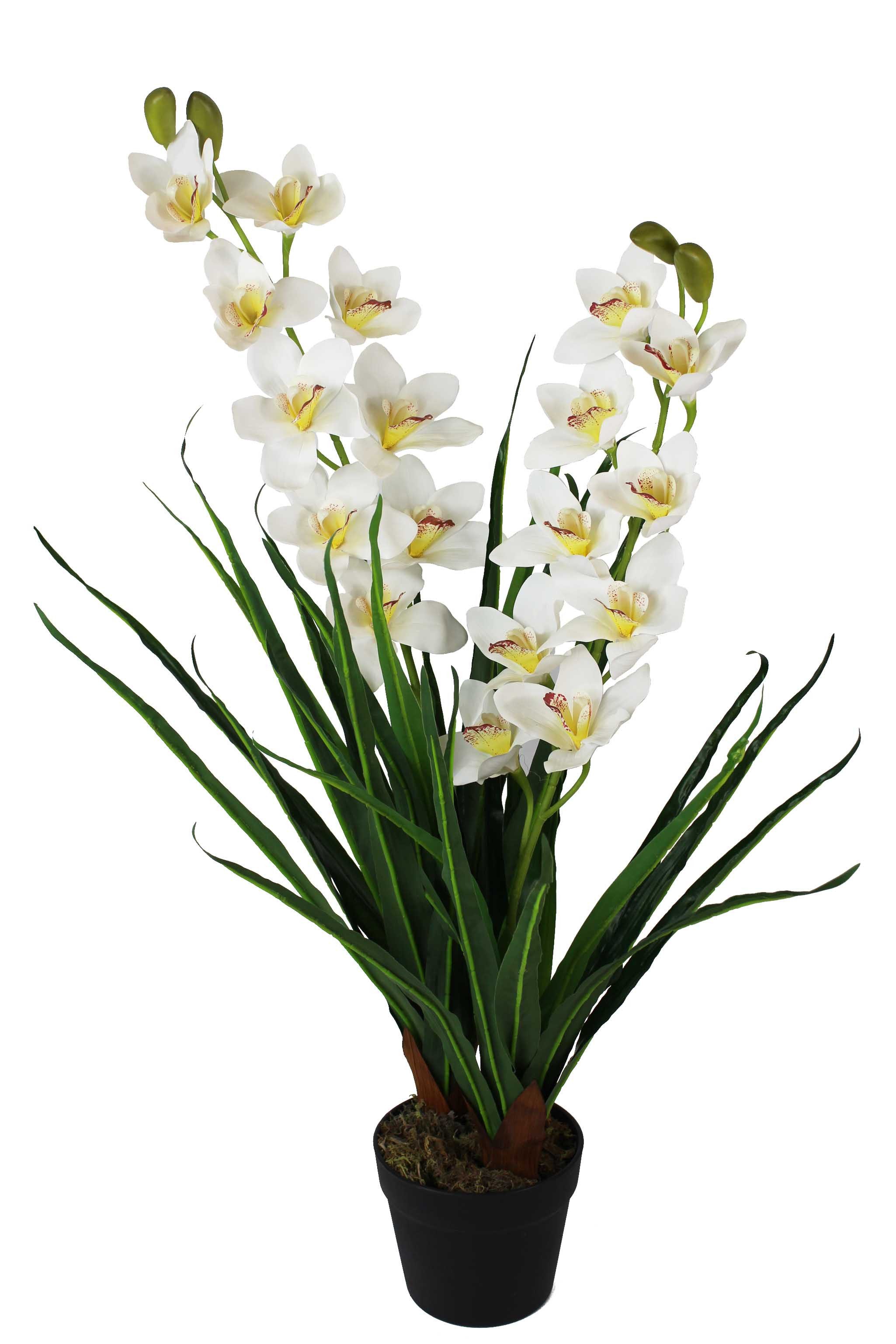 Kunstorchidee künstliche Orchidee Groß mit Kunstgras im Topf Zimmerpflanze Orchidee, Arnusa, Höhe 85 cm, wie echt real Touch
