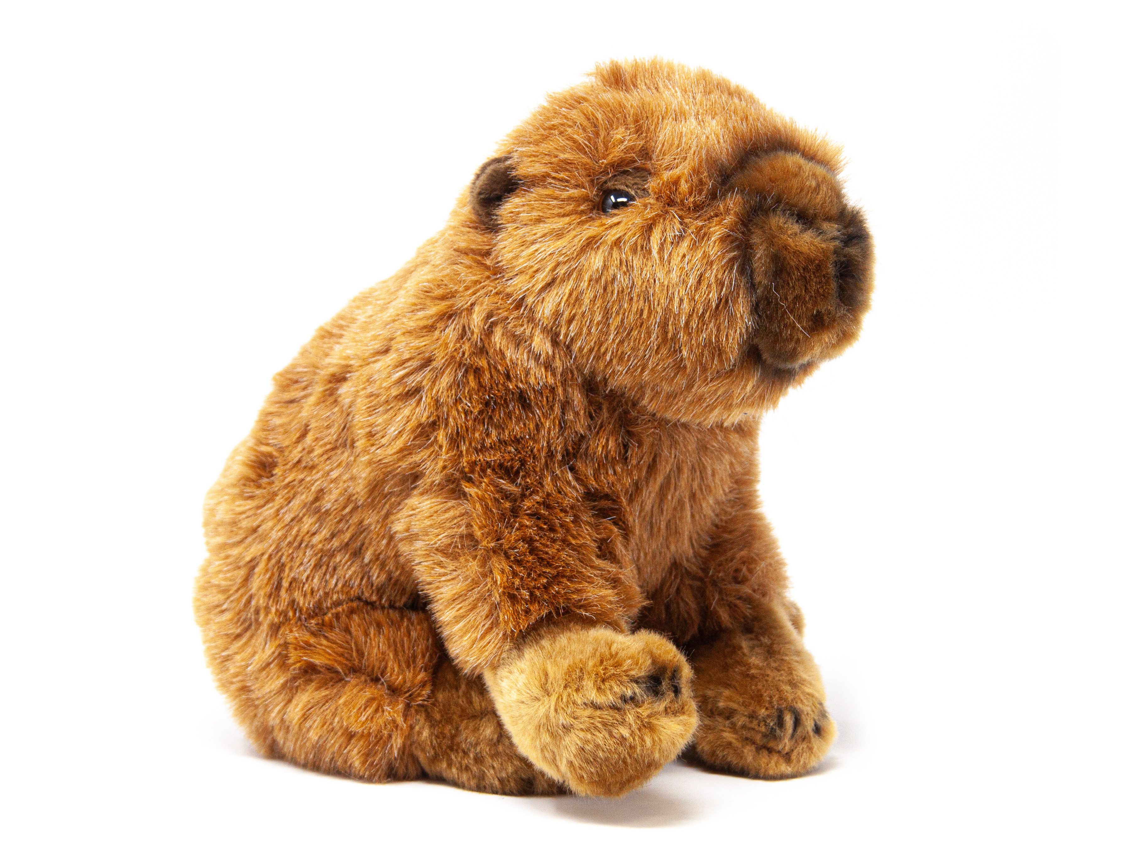 Nature Planet Kuscheltier Nature Planet - Kuscheltier - Plan L - Capybara