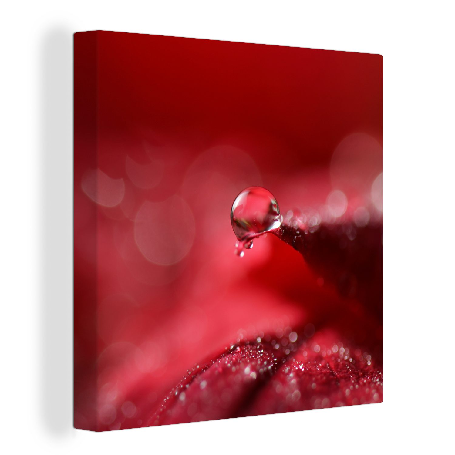 OneMillionCanvasses® Leinwandbild Weihnachten - Weihnachtsblume, (1 St), Leinwand Bilder für Wohnzimmer Schlafzimmer