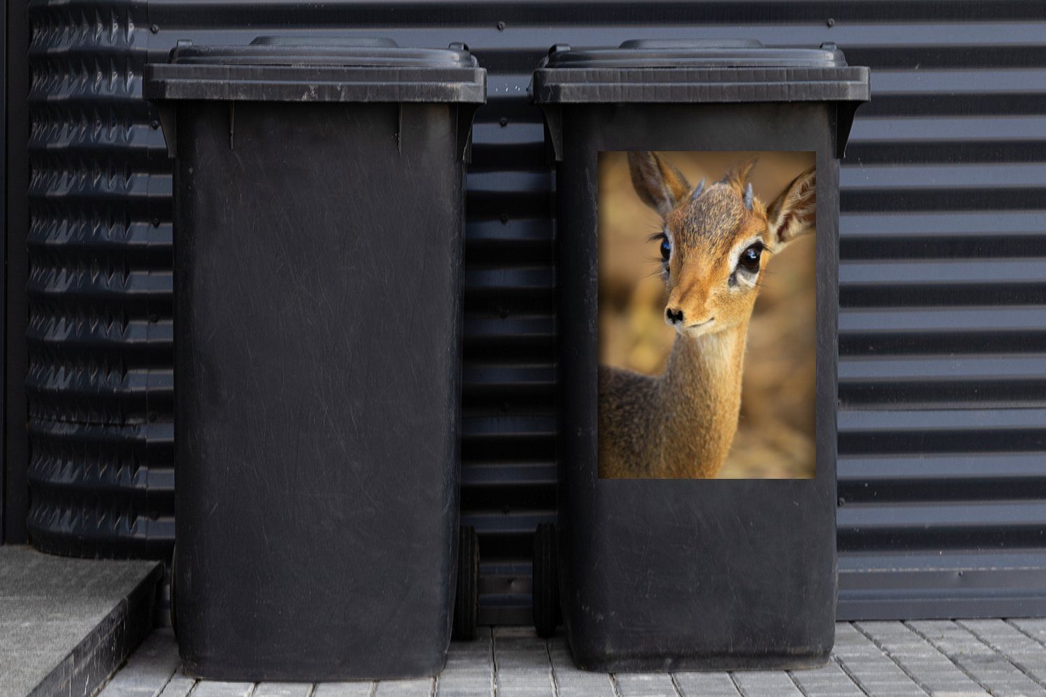 Container, Nahaufnahme MuchoWow Wandsticker (1 Mülltonne, eines Abfalbehälter Sticker, St), Mülleimer-aufkleber, Dikdiks