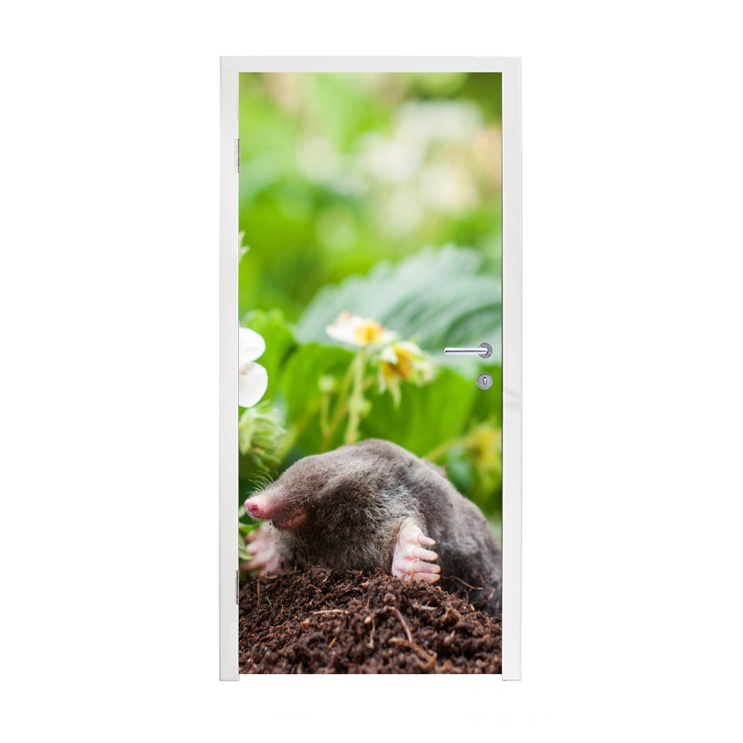 MuchoWow Türtapete Tier - Garten - Maulwurf, Matt, bedruckt, (1 St), Fototapete für Tür, Türaufkleber, 75x205 cm