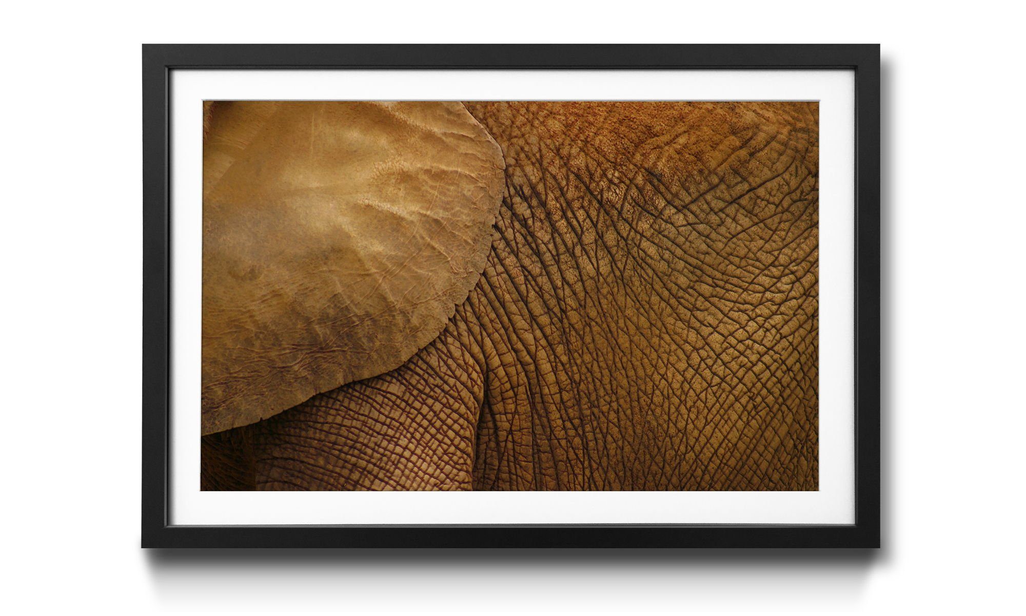 WandbilderXXL Bild The Größen Giant, 4 erhältlich mit in Rahmen Wandbild, Elefant