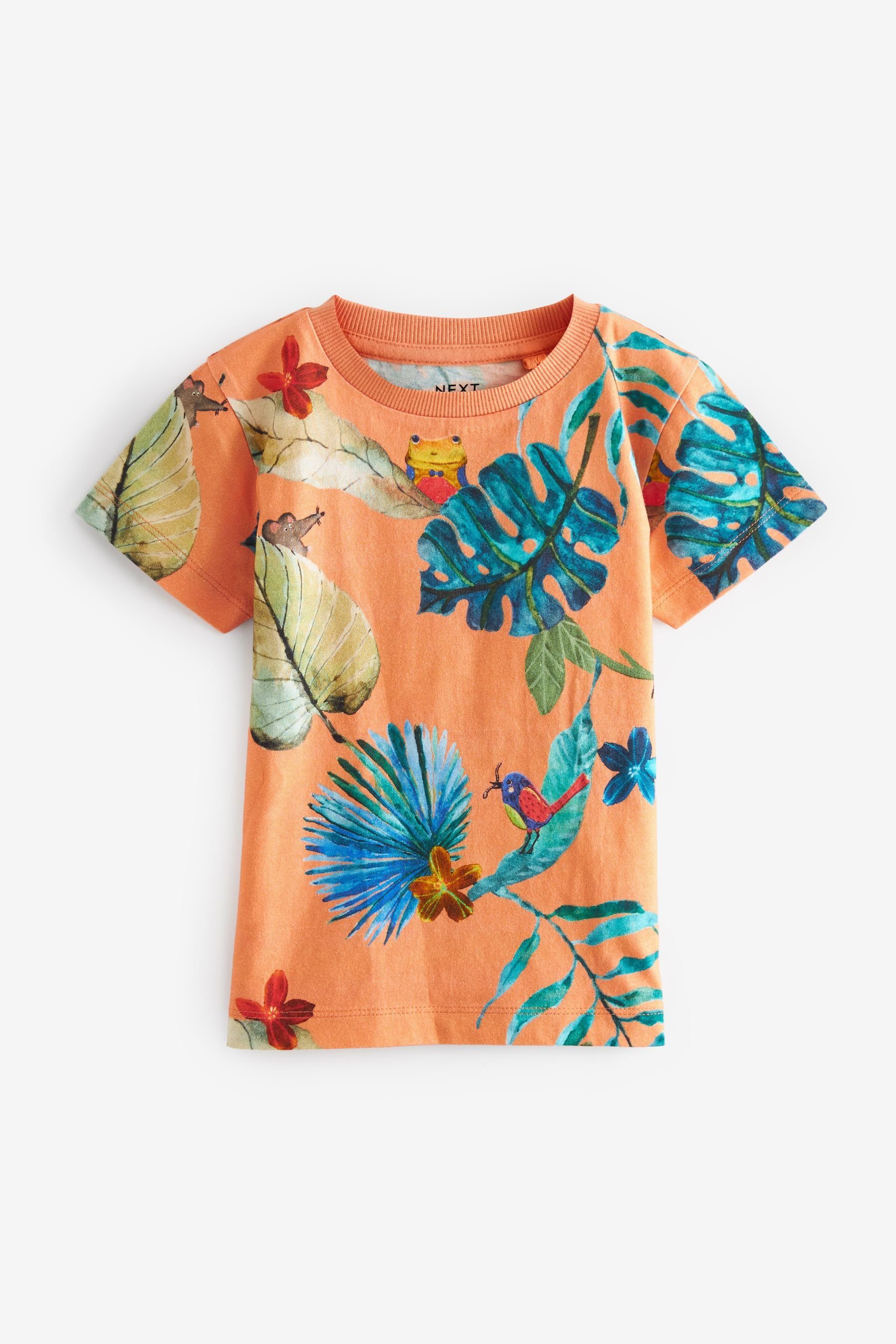 Orange mit (1-tlg) durchgehend bedruckt T-Shirt T-Shirt Next Ärmeln, kurzen