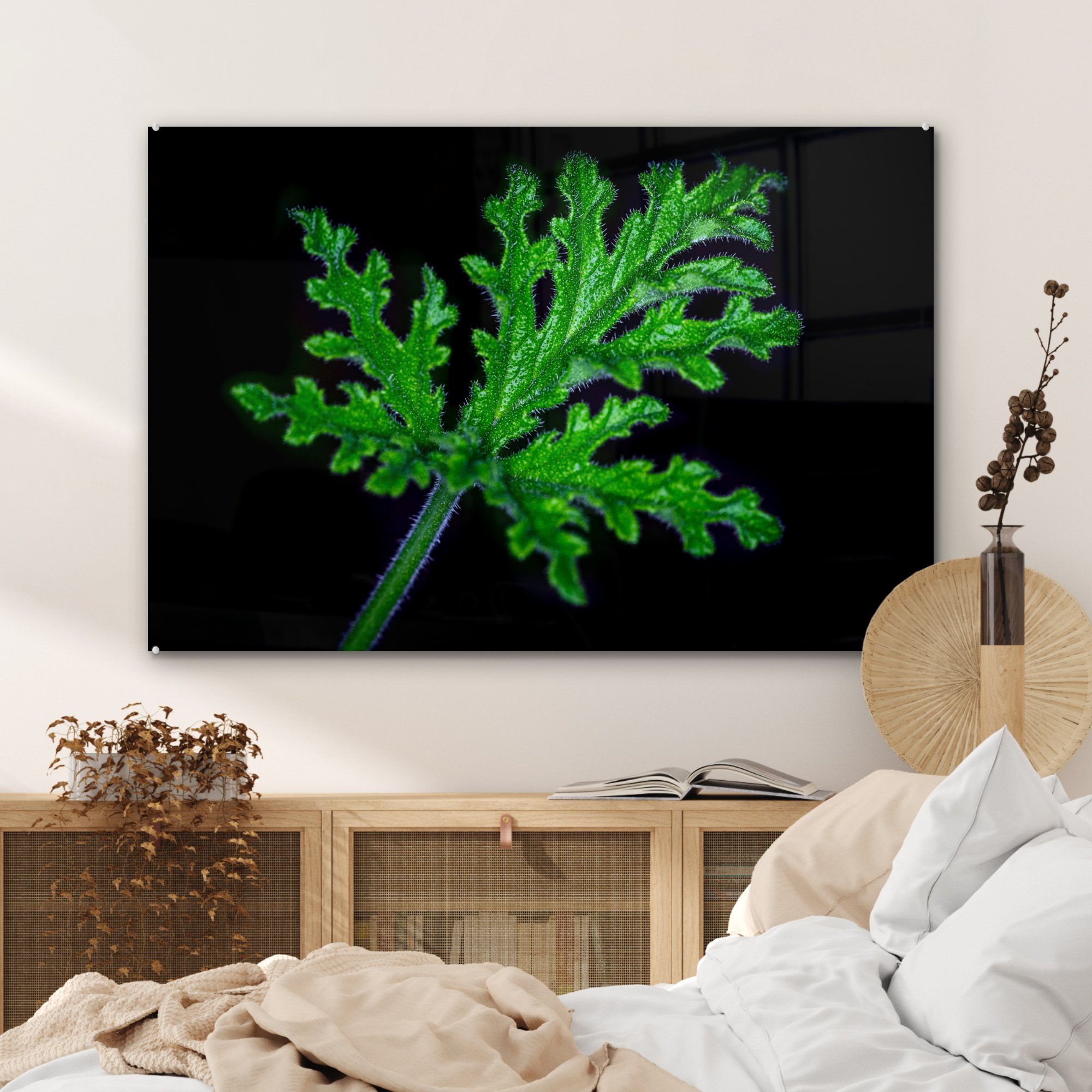 Hintergrund, St), schwarzem Einzelne (1 Schlafzimmer grüne Acrylglasbild MuchoWow Blätter & auf Acrylglasbilder Wohnzimmer