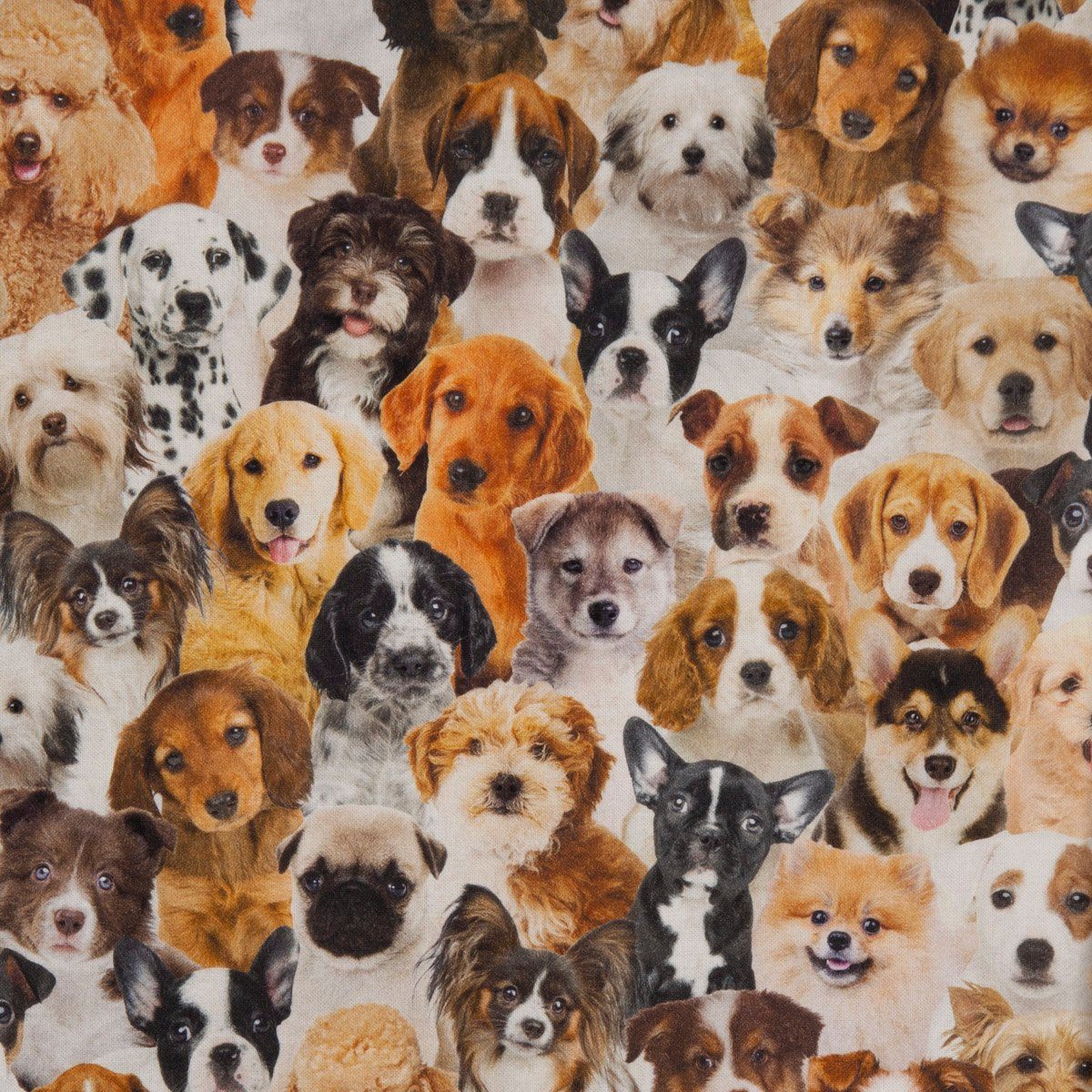 SCHÖNER LEBEN. Zugluftstopper Zugluftstopper Digitaldr. Hunde Welpen braun weiß schwa, Digitaldruck