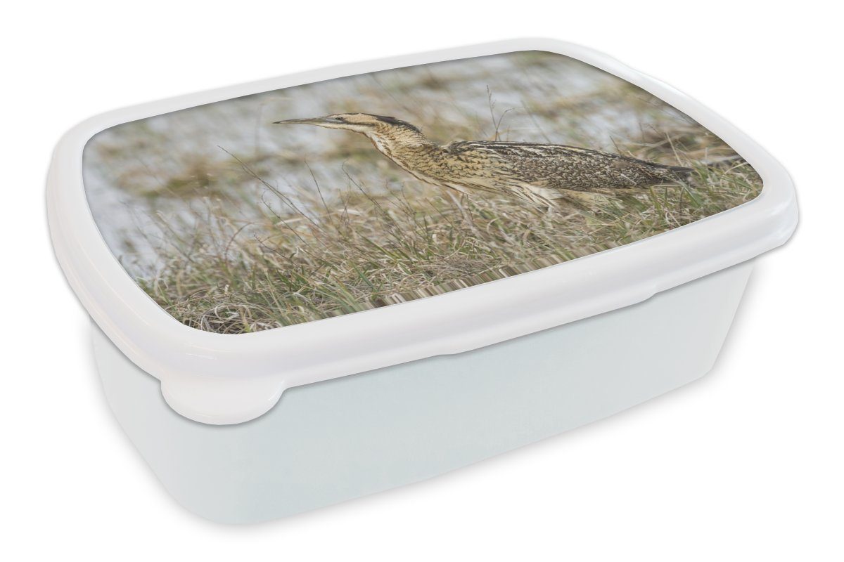 MuchoWow Lunchbox Foto einer Rohrdommel in Wassernähe, Kunststoff, (2-tlg), Brotbox für Kinder und Erwachsene, Brotdose, für Jungs und Mädchen weiß