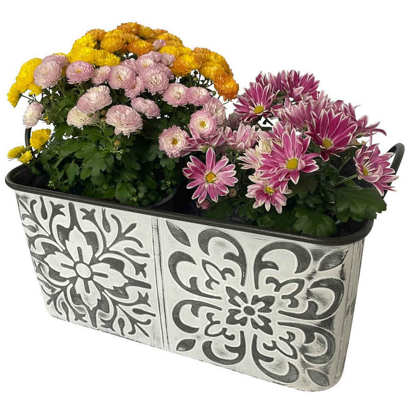 Online-Fuchs Blumentopf Zinkwanne mit Blumenmuster groß Pflanzkübel Kasten Metall (Vintage Silber/weiß), Maße großer Blumenkasten ca. 49 x 30 cm und 22 cm hoch