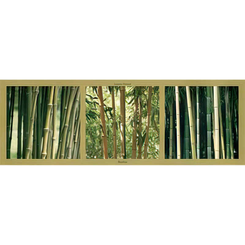 Close Up Kunstdruck Bambous Bambus (Kunstdruck) 95 x 33 cm