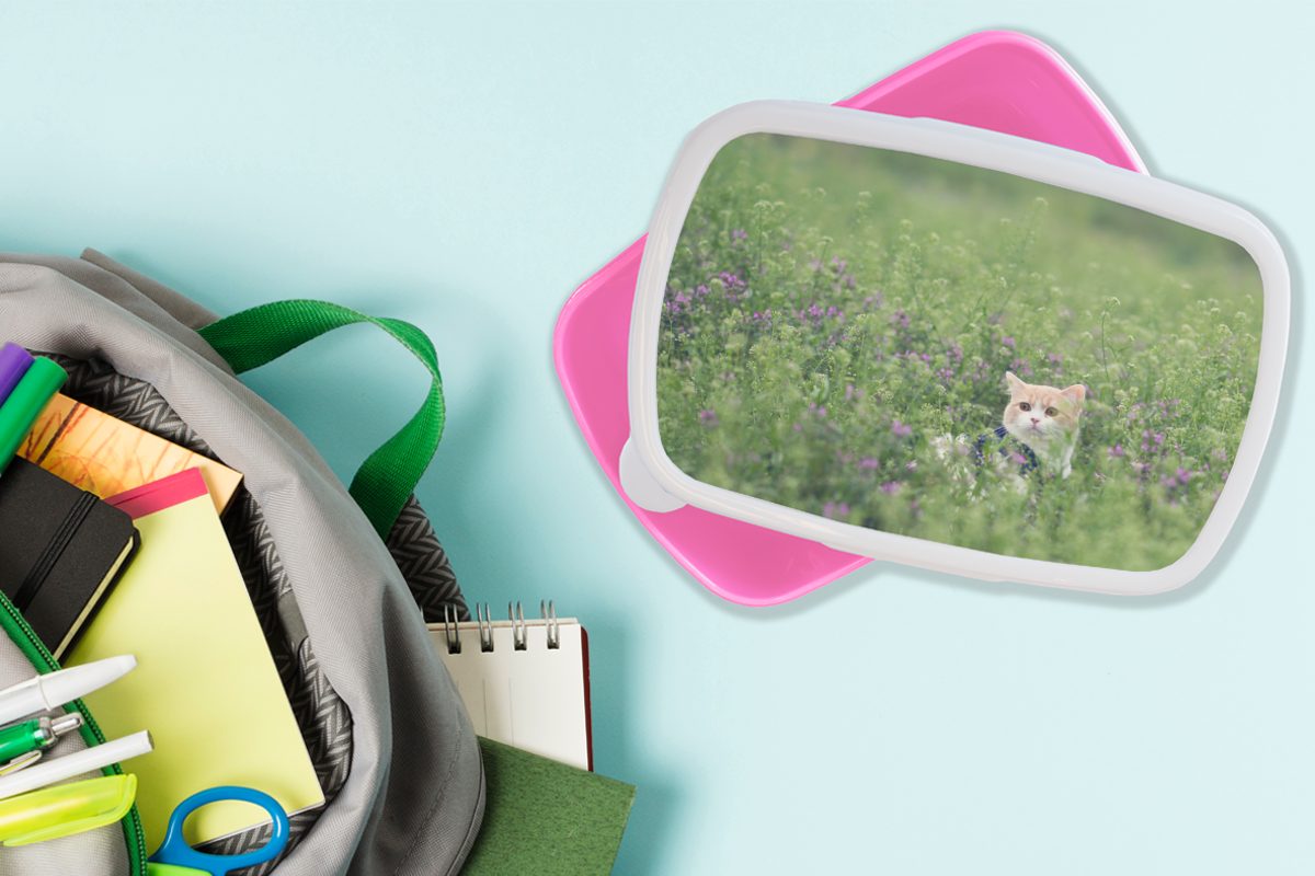 Kunststoff Frühling, Snackbox, Lunchbox rosa Katze Erwachsene, Brotbox Kunststoff, MuchoWow für (2-tlg), - - Kinder, Mädchen, Blumen Brotdose
