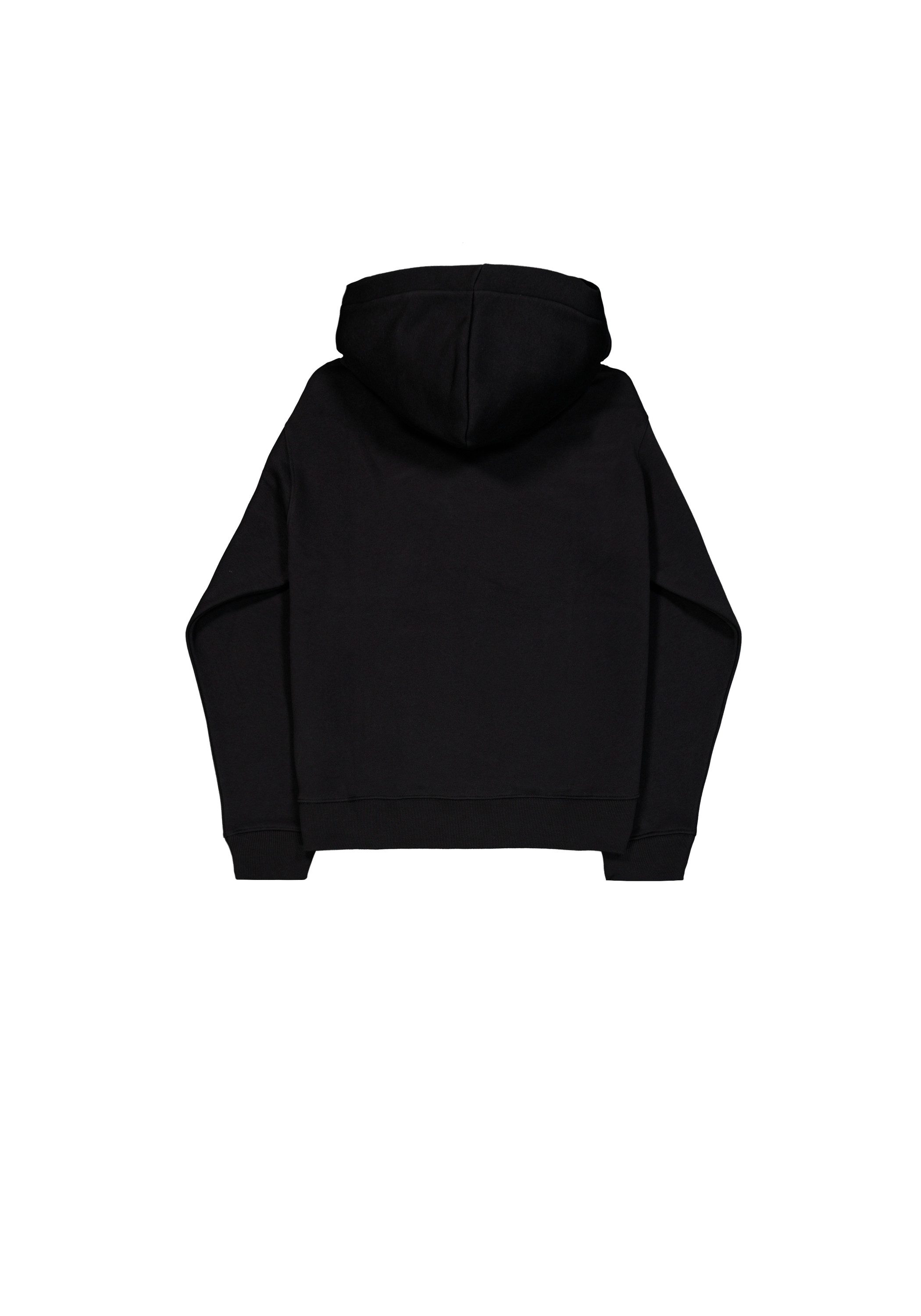 Alpha Industries Hoodie Basic Hoodie SL TPU günstig online kaufen