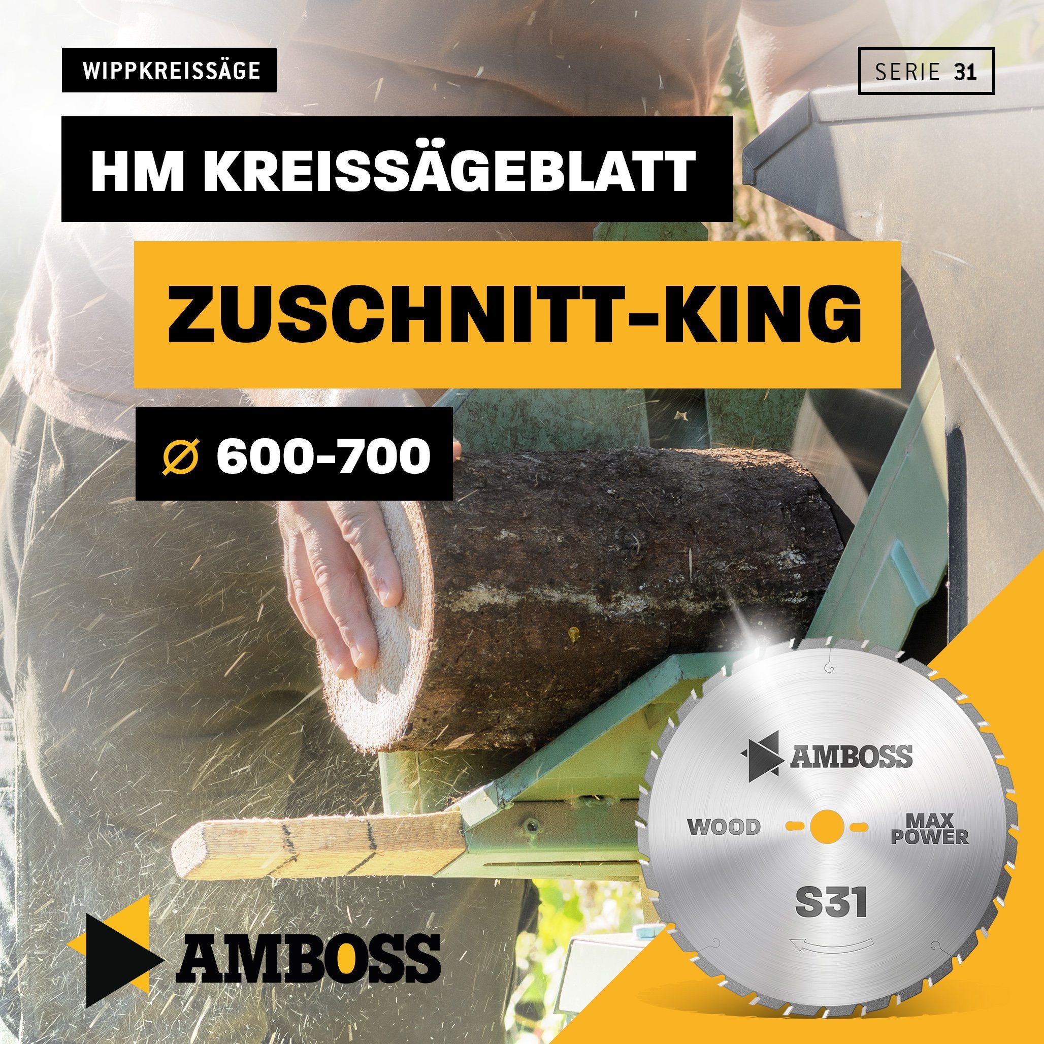 30 Werkzeuge mm 2, (Zahnform) 42 x 4/3 TZ (Zahnstellung) - Kreissägeblatt x Z46 7, Kreissägeblatt HM 30 TZ, Amboss 700 positiv (Bohrung)