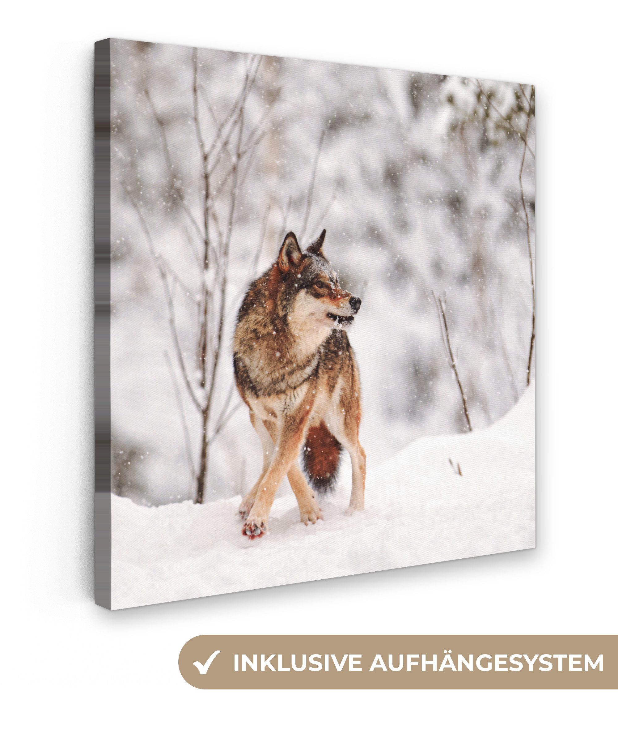 OneMillionCanvasses® Leinwandbild Wolf - Winter - günstig online kaufen
