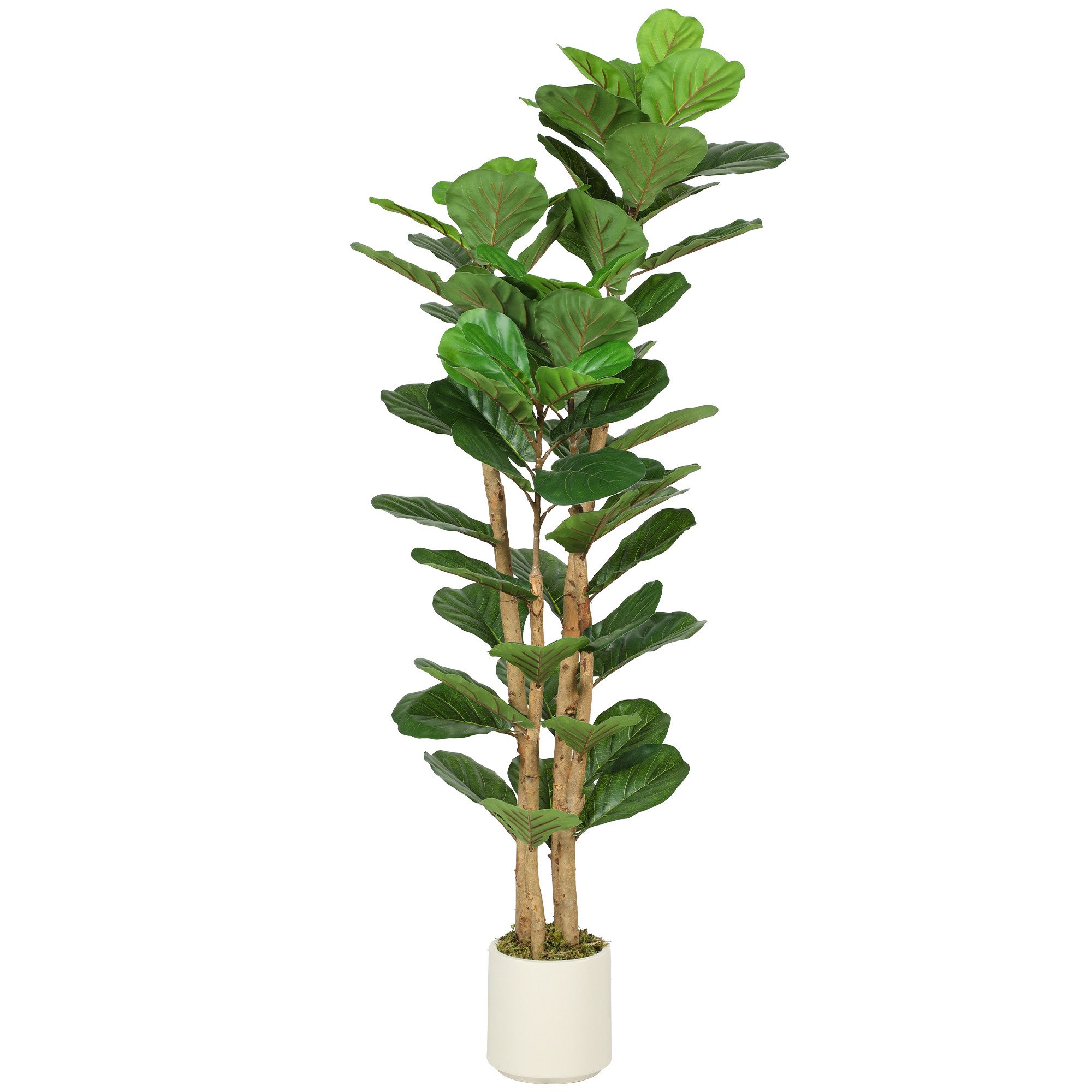 Kunstpflanze Künstlicher mit 71 Blättern, Massivholzstamm, Topf, Deko Geigenfeigenbaum, HOMCOM, Höhe 150 cm, für Wohnzimmer, Schlafzimmer, Büro, Garten, Grün – Bild 2 von 5