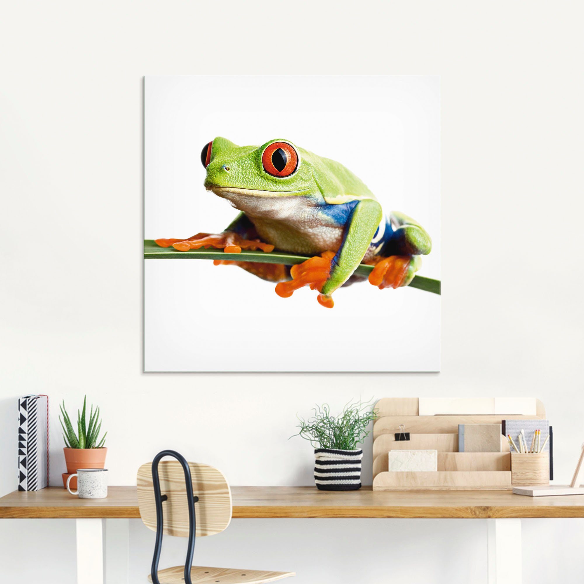 St), Artland auf Größen Wassertiere in einem Blatt, (1 verschiedenen Frosch Glasbild